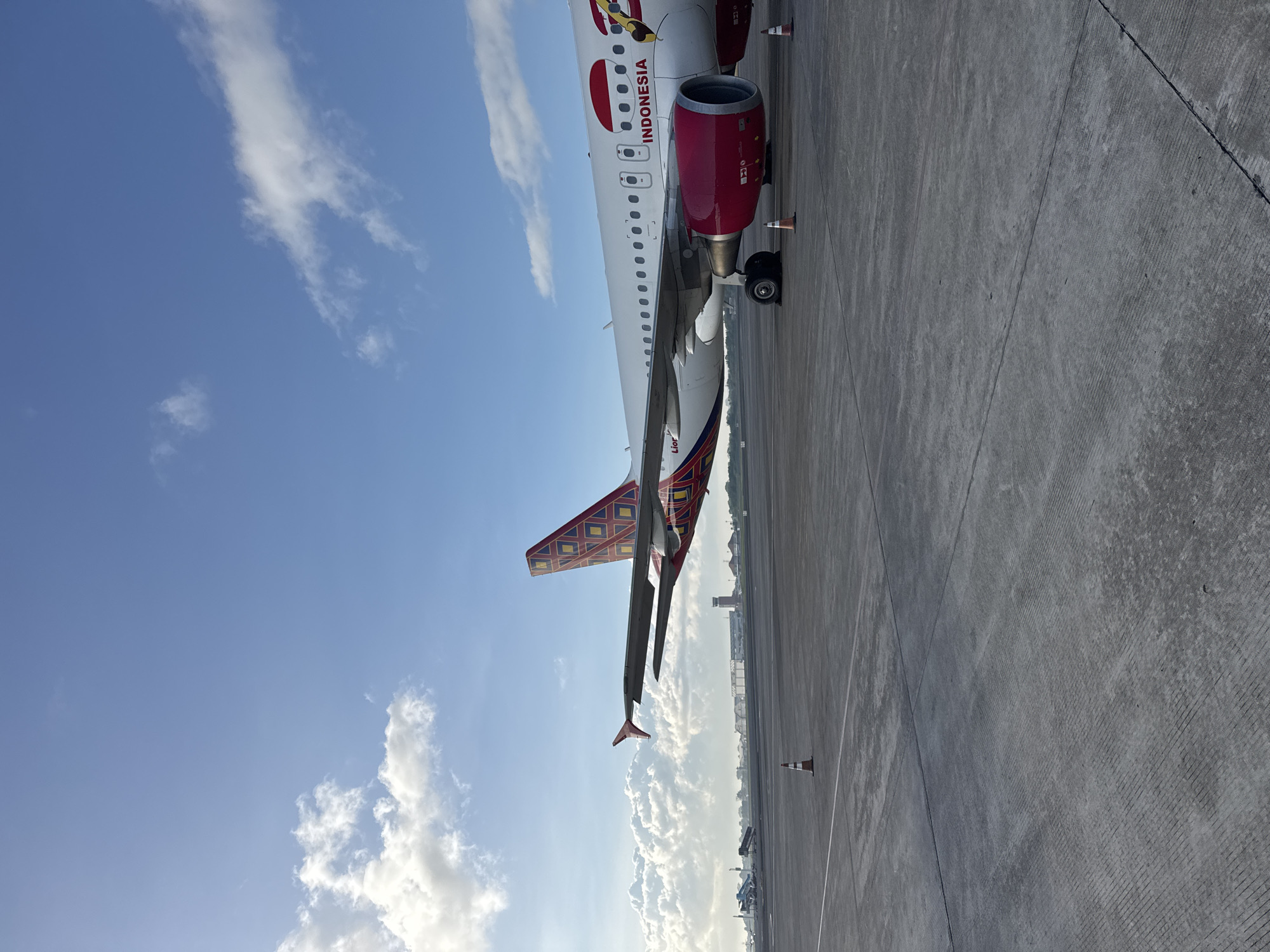 Mixed scenes captured: Indonesian aircraft, dragon art, night roads