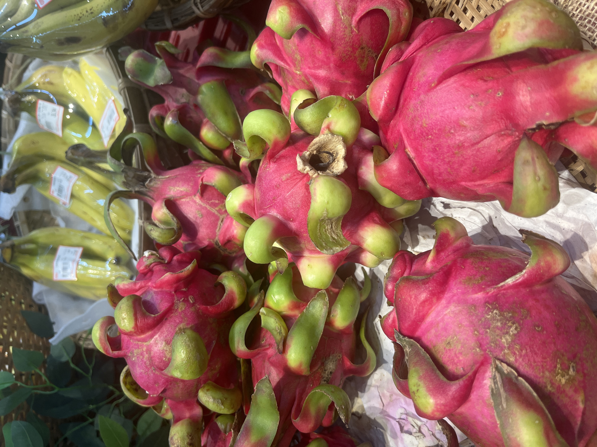 Vietnamese market visit showcases tropical fruits, fresh seafood, local cuisine