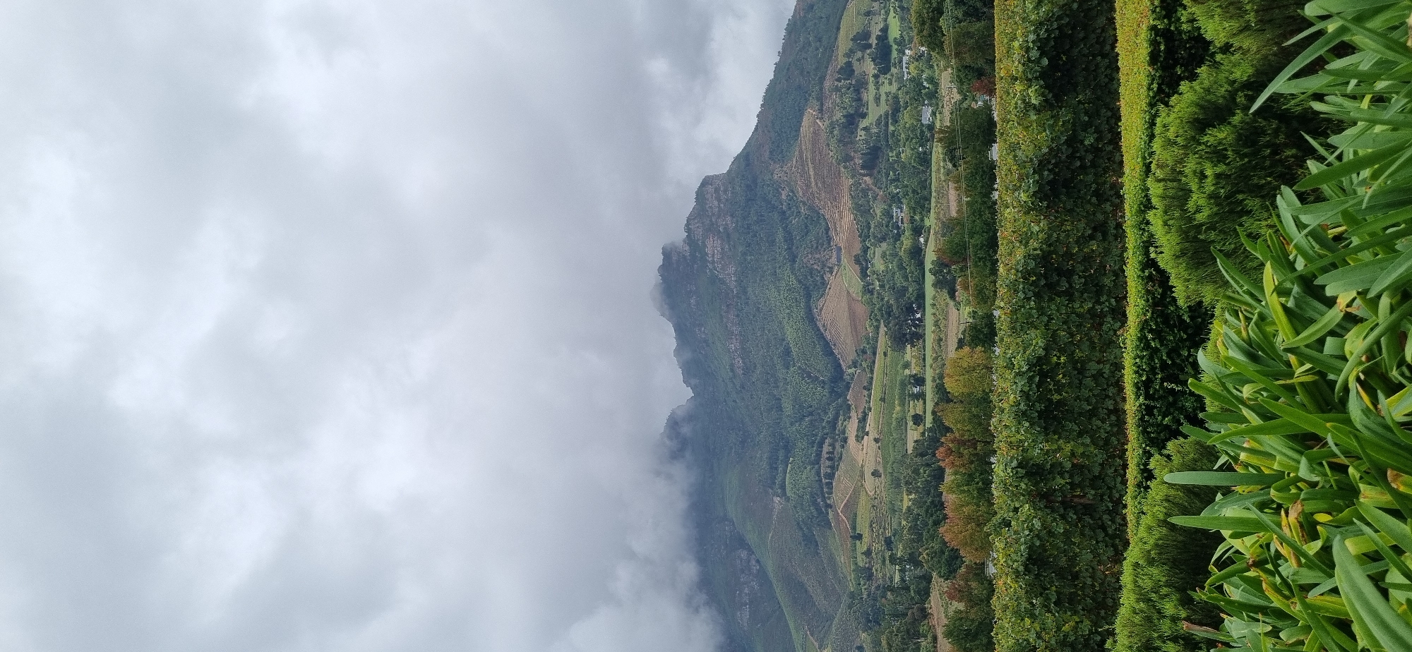 Cloudy skies blanket Stellenbosch vineyards and mountains