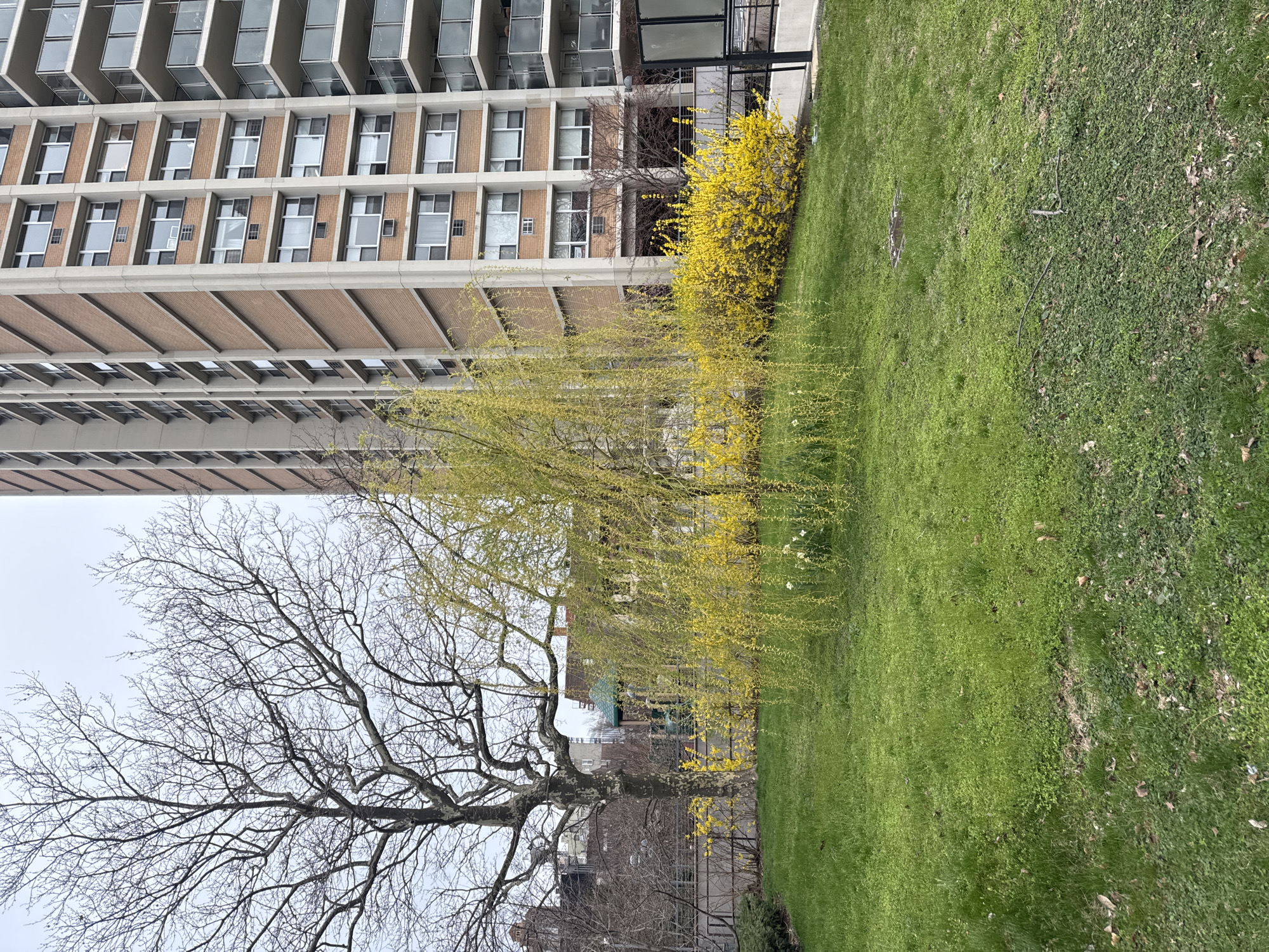 Spring evening snapshots across NYC neighborhoods