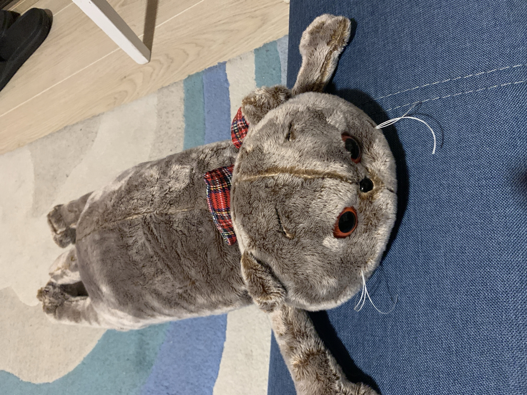 Evening with plush toys and personal items in Kapyĺ apartment