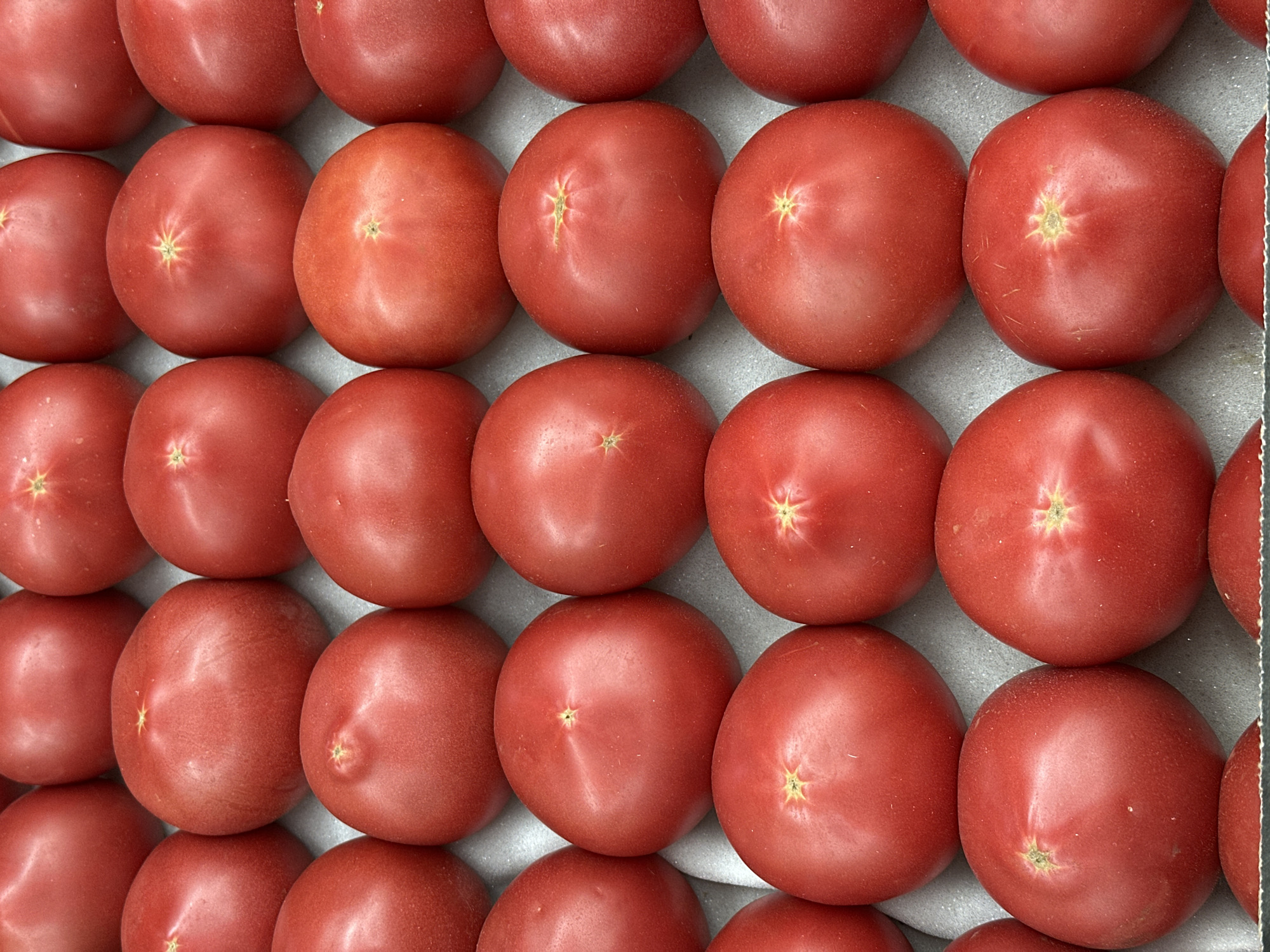 Fresh summer fruit and veg, up close at a Moscow market