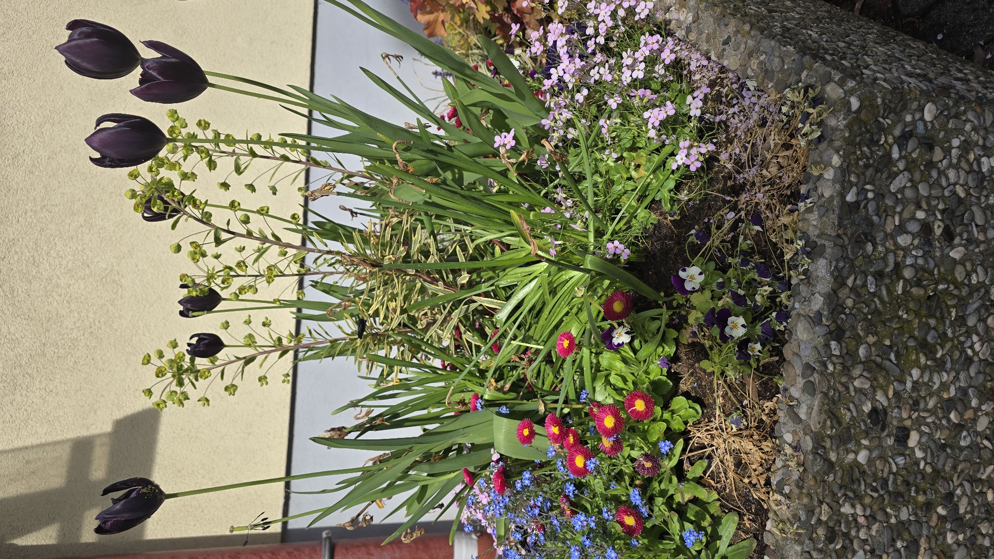 Spring morning street scene documented in Zirndorf, Germany