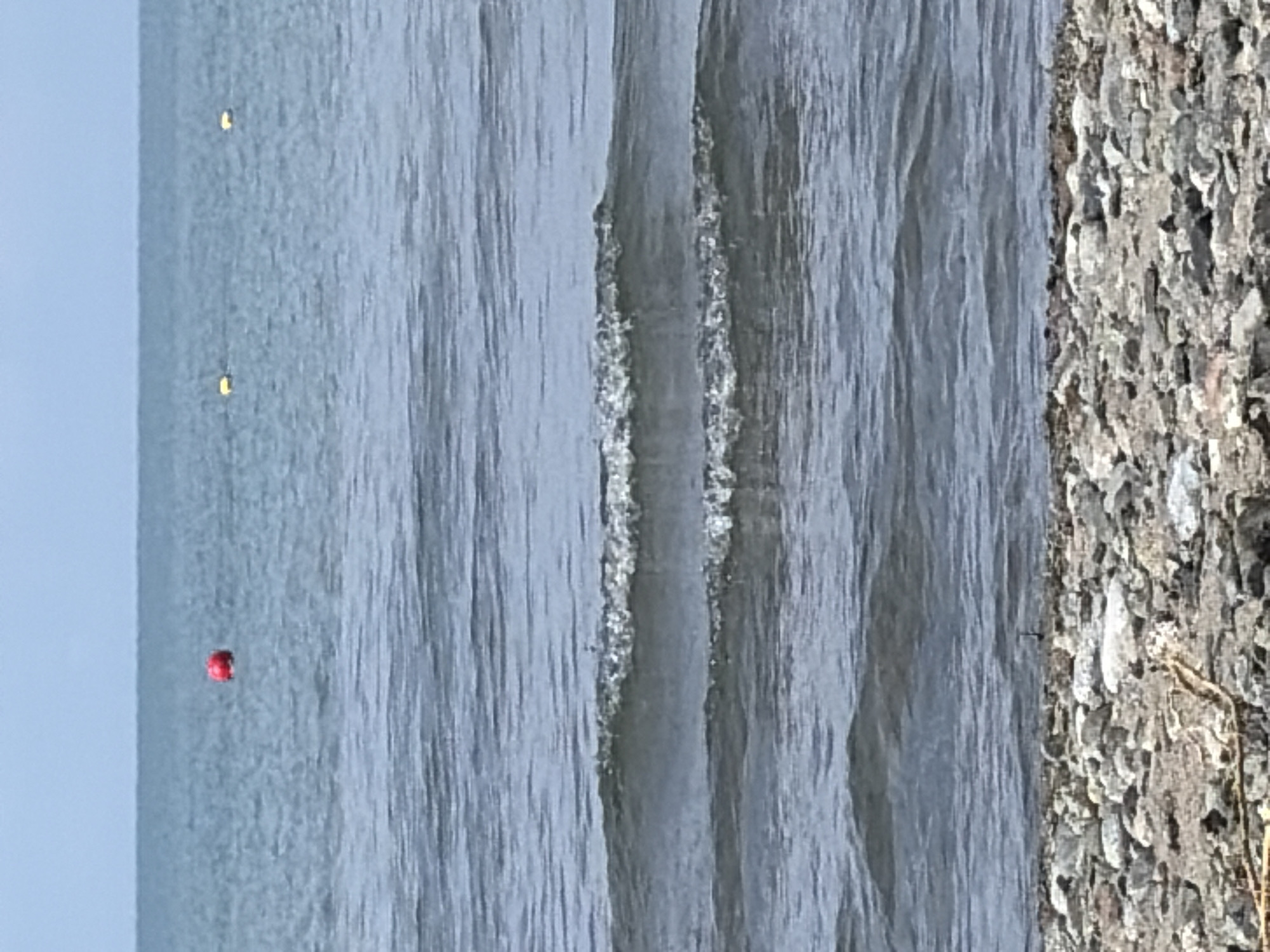 Lazy beach day at a rocky shoreline with campers, swimmers, and kittens
