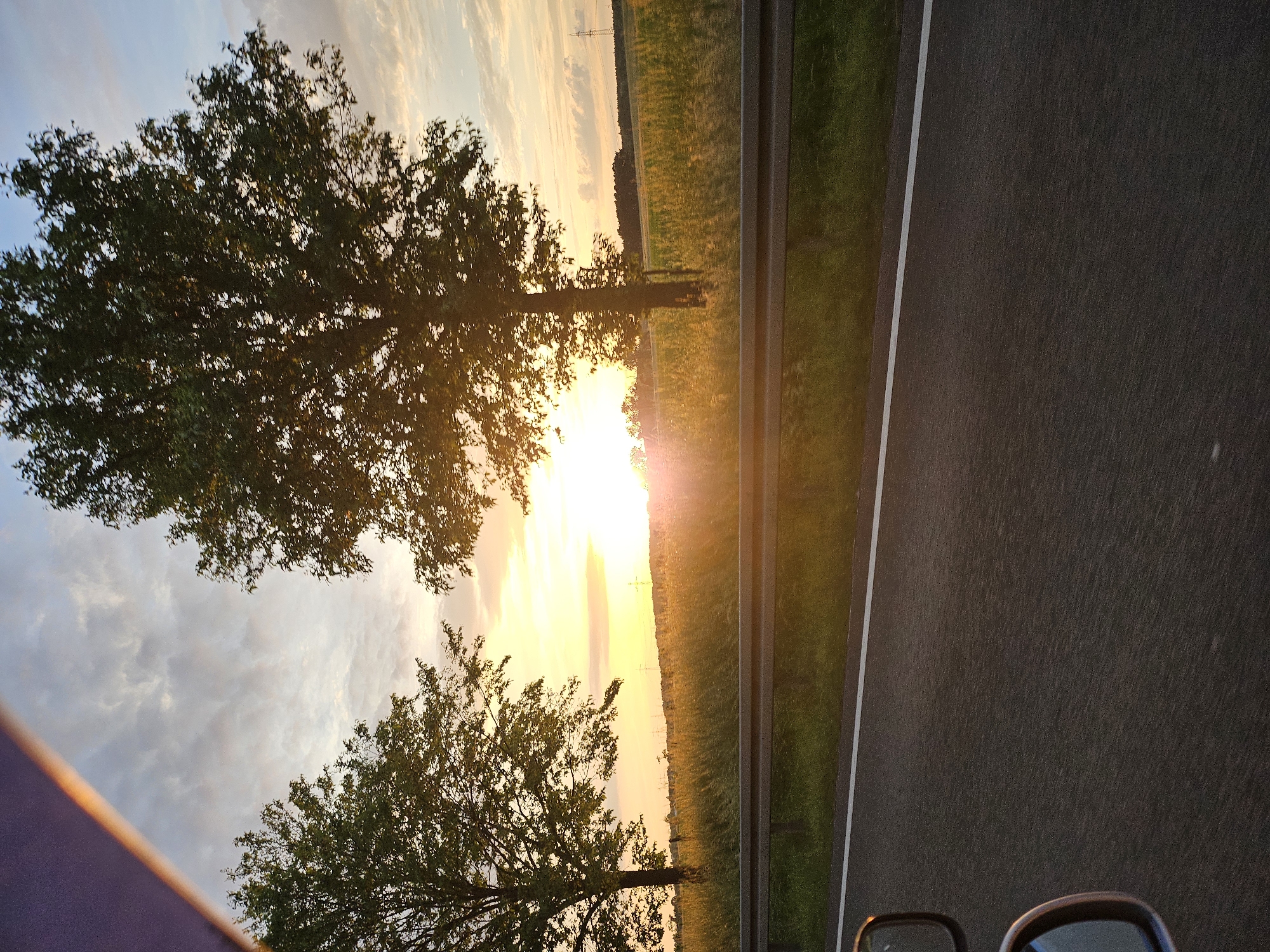 Vehicle passenger photographs roadside landscape in Hoppegarten, Germany