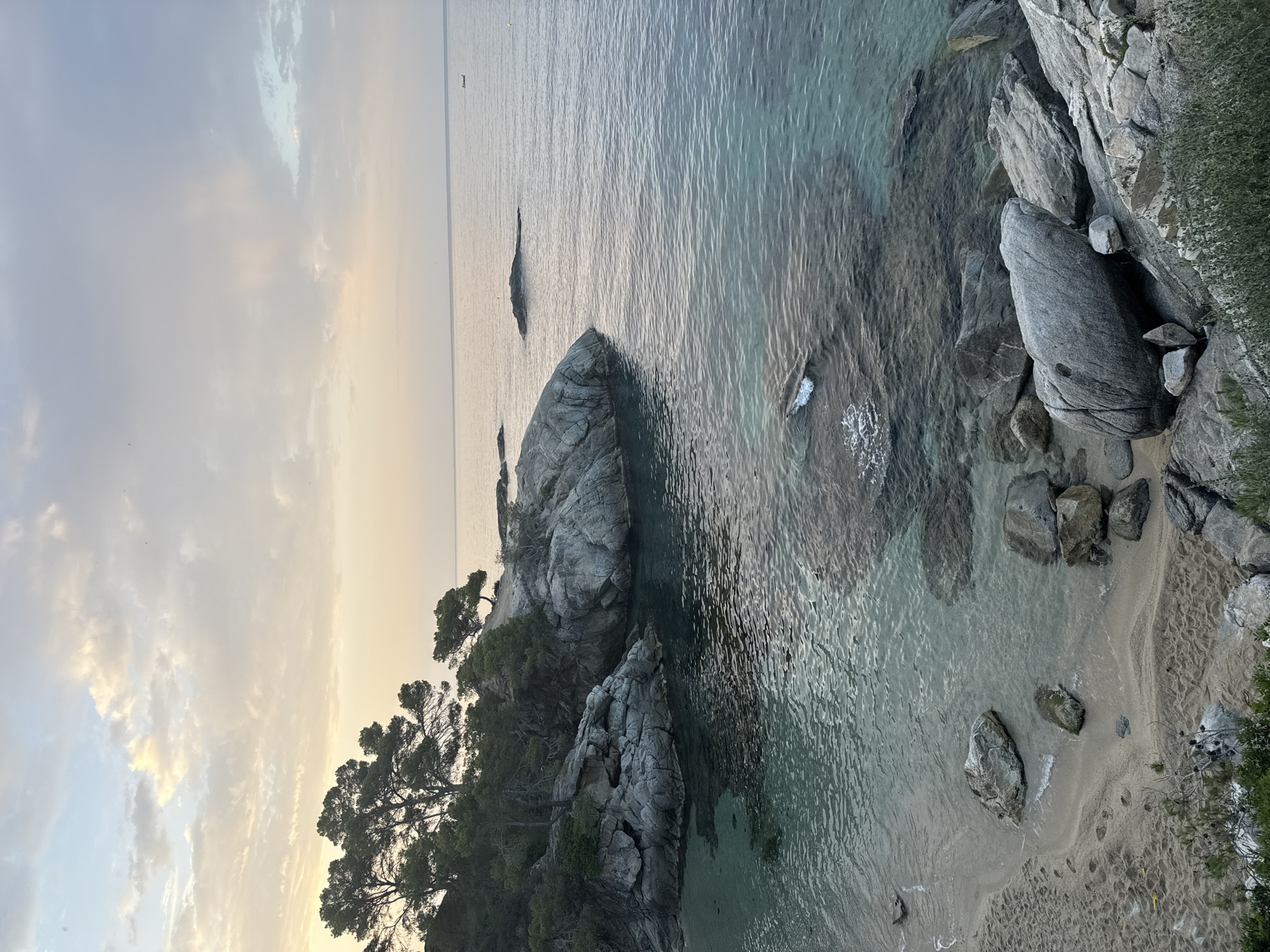 Rocky Costa Brava coastline at sunset, pine trees and turquoise water