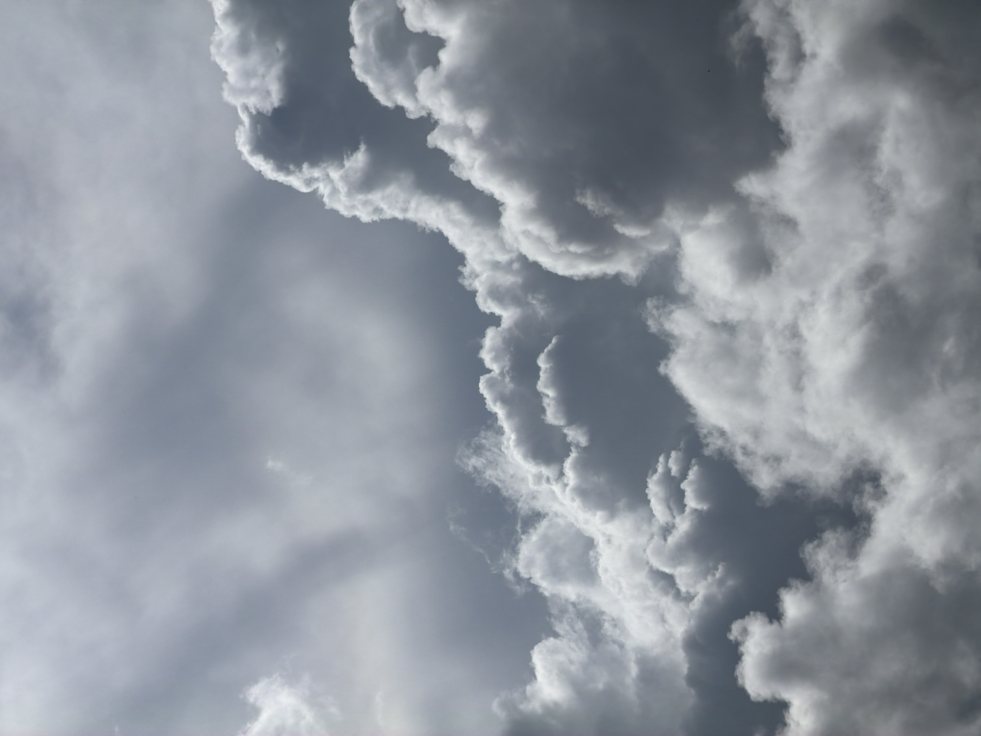 Cloudy morning tarot reading session observed in North Kuta