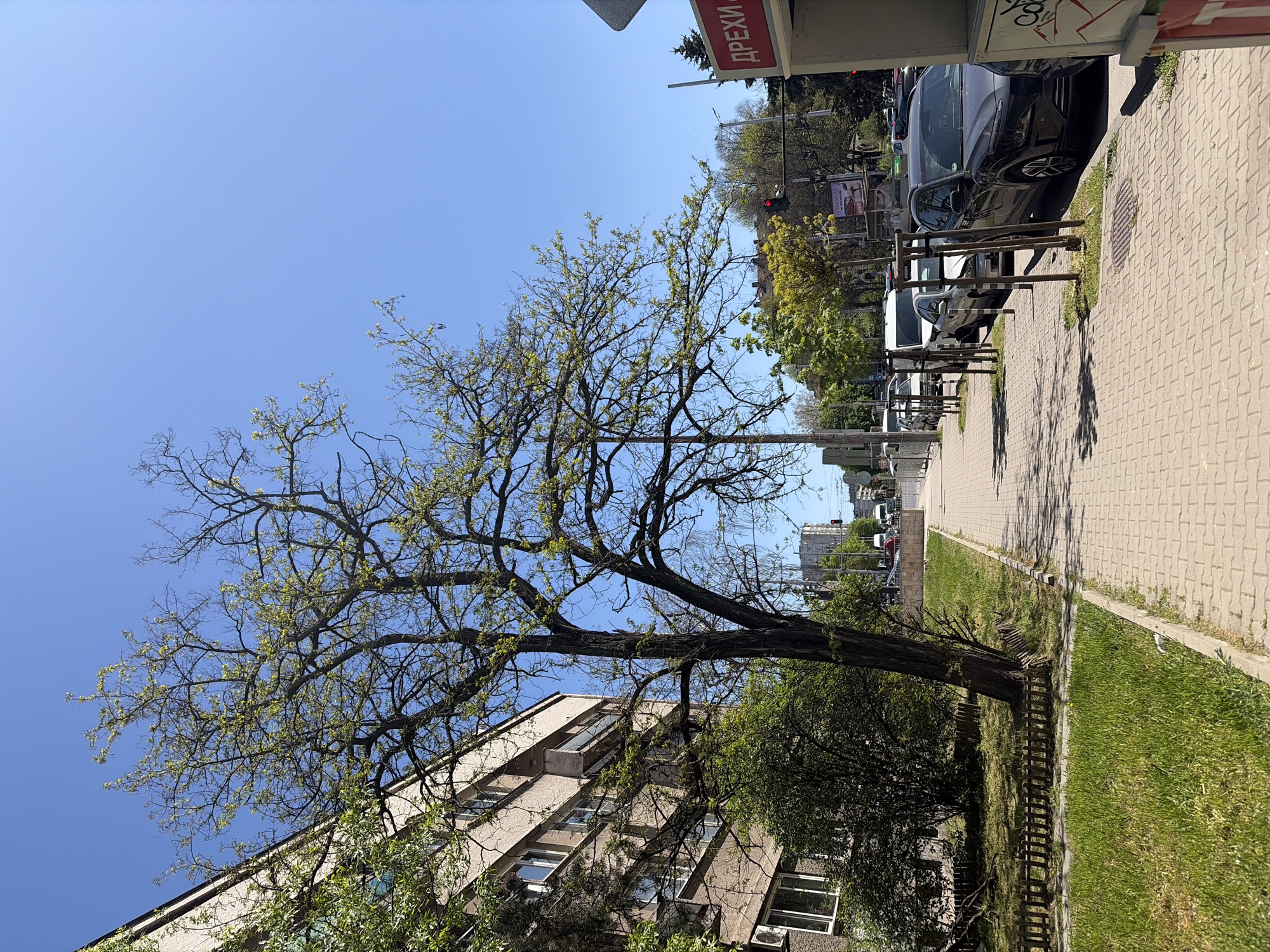 Spring morning street scenes documented across Sofia, Bulgaria