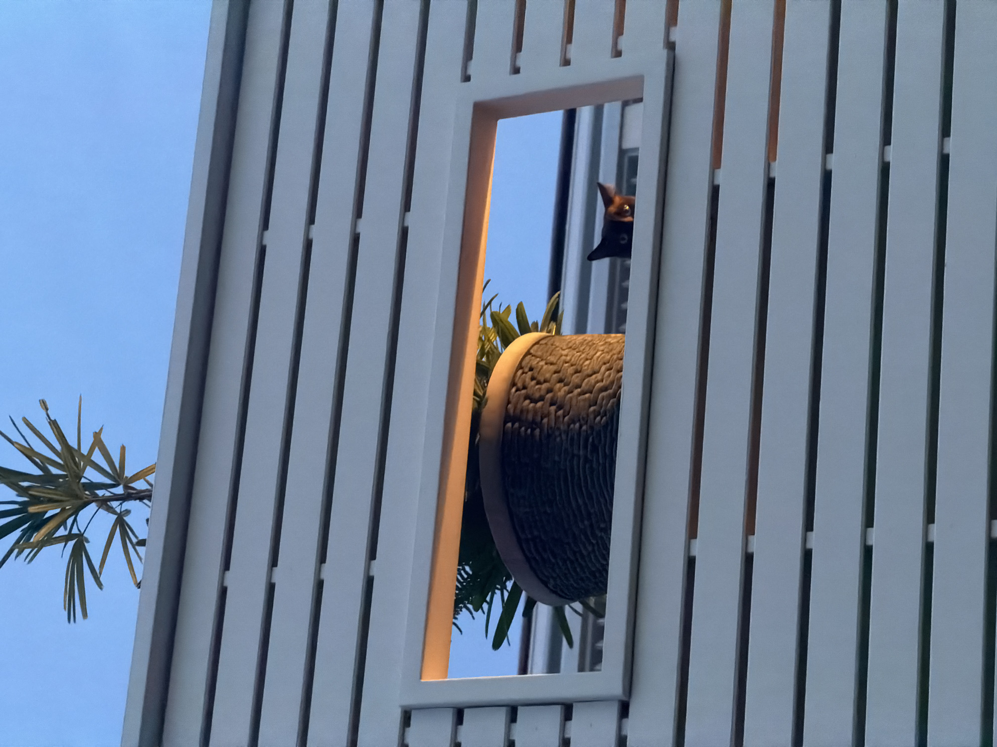 Ko Samui residents document island views and daily moments
