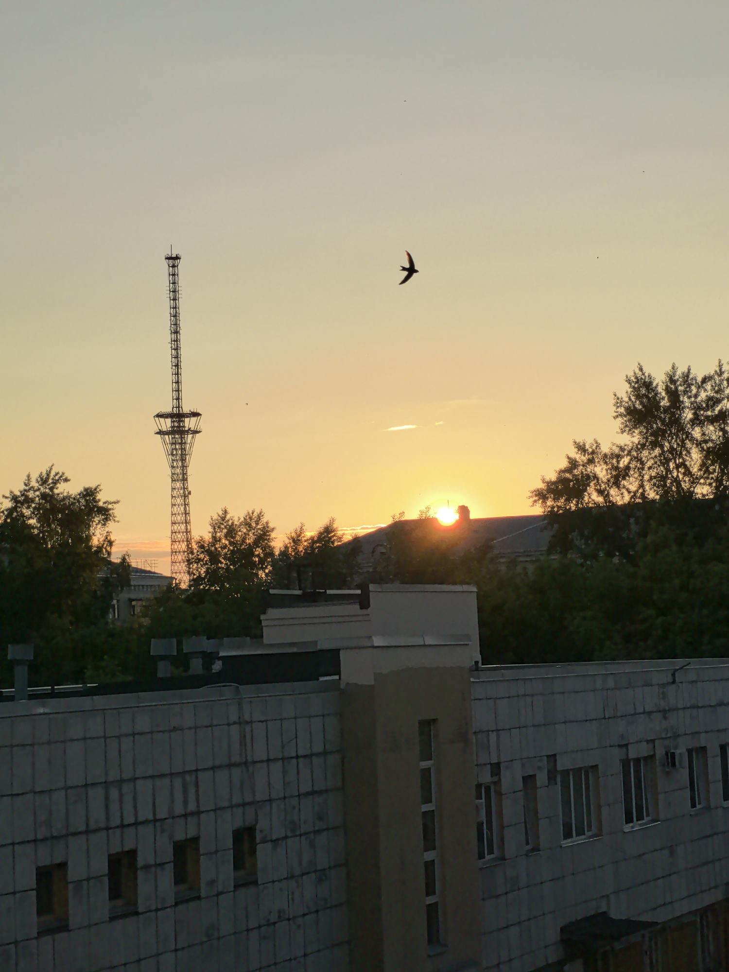 Urban skyscape with utility wires captured during golden hour