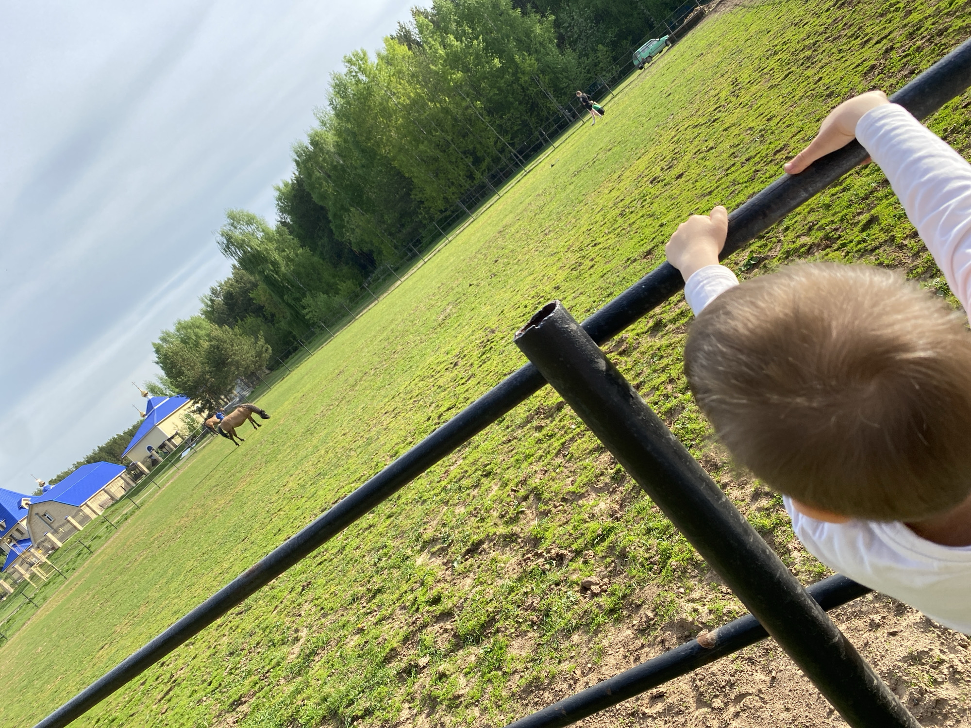 Family visits horses at Chaikovsky paddock, child plays by fence