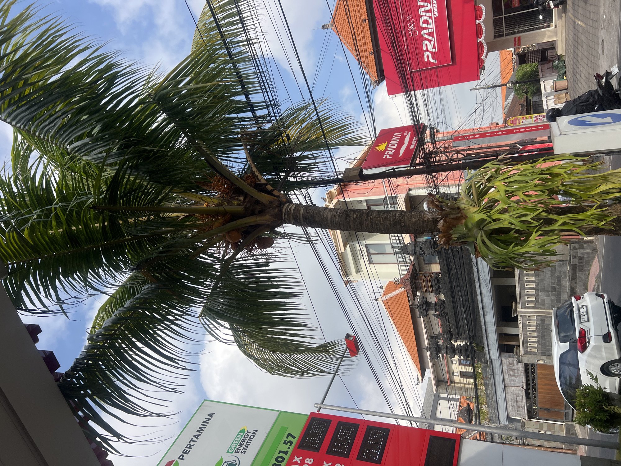 Busy Denpasar street: fuel stops, palms, and roadside flowers
