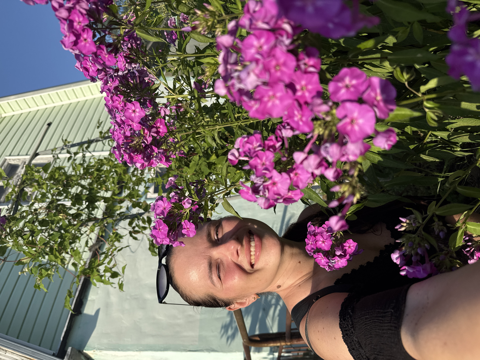 Garden in bloom: roses, hydrangeas, and daylilies up close