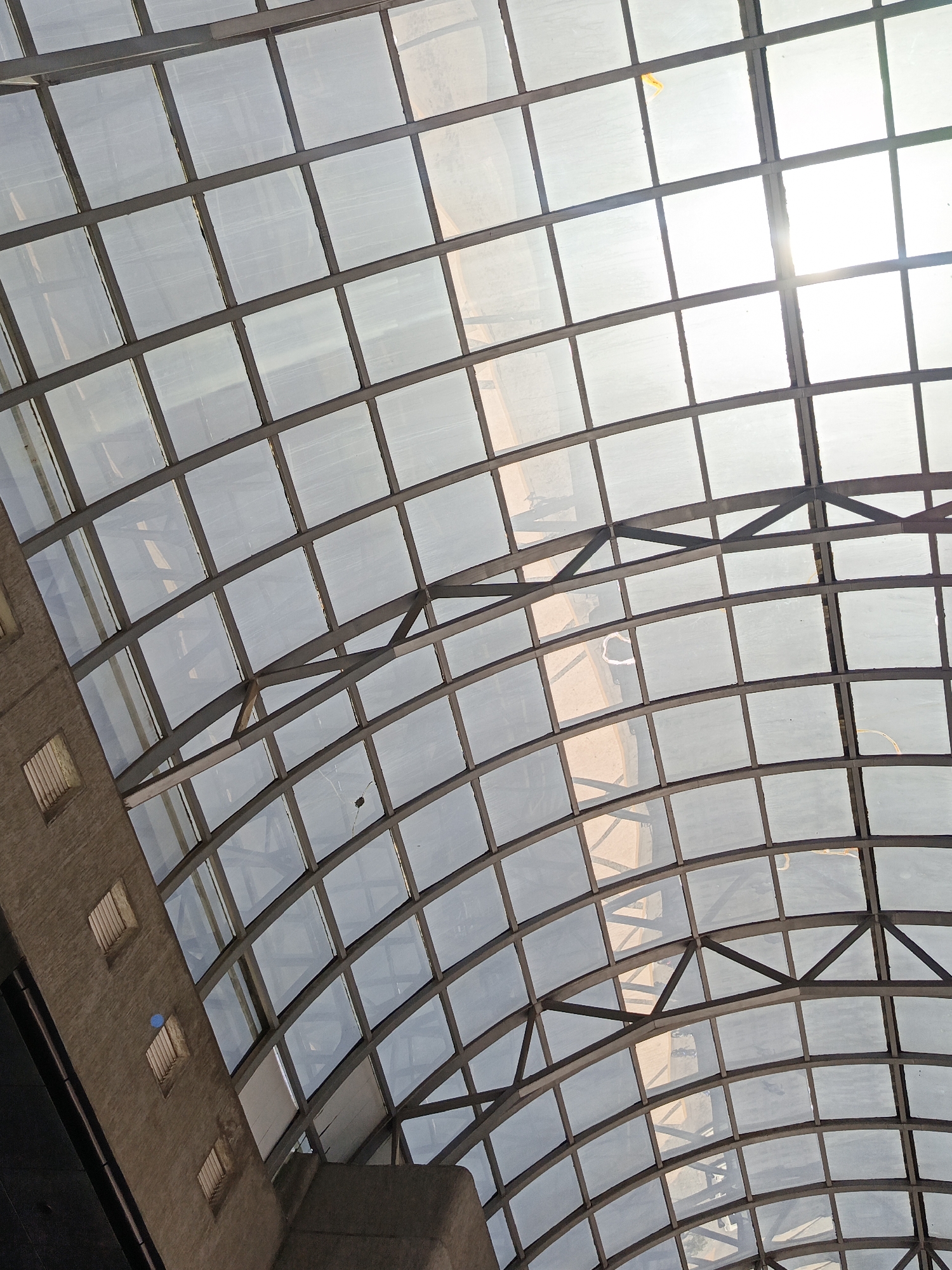 Curved glass roof structure with grid pattern documented