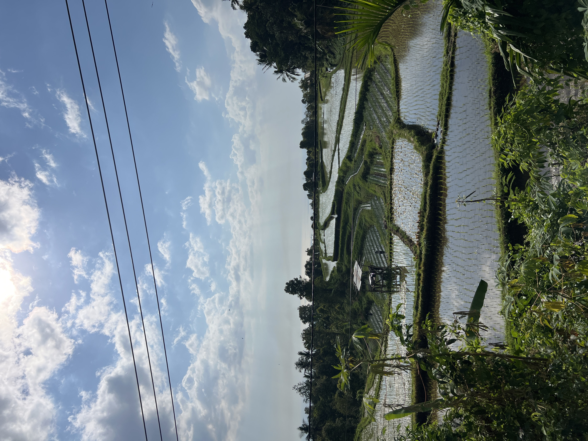 Sunlit terraced rice paddies reflecting sky in Sukasada, Bali