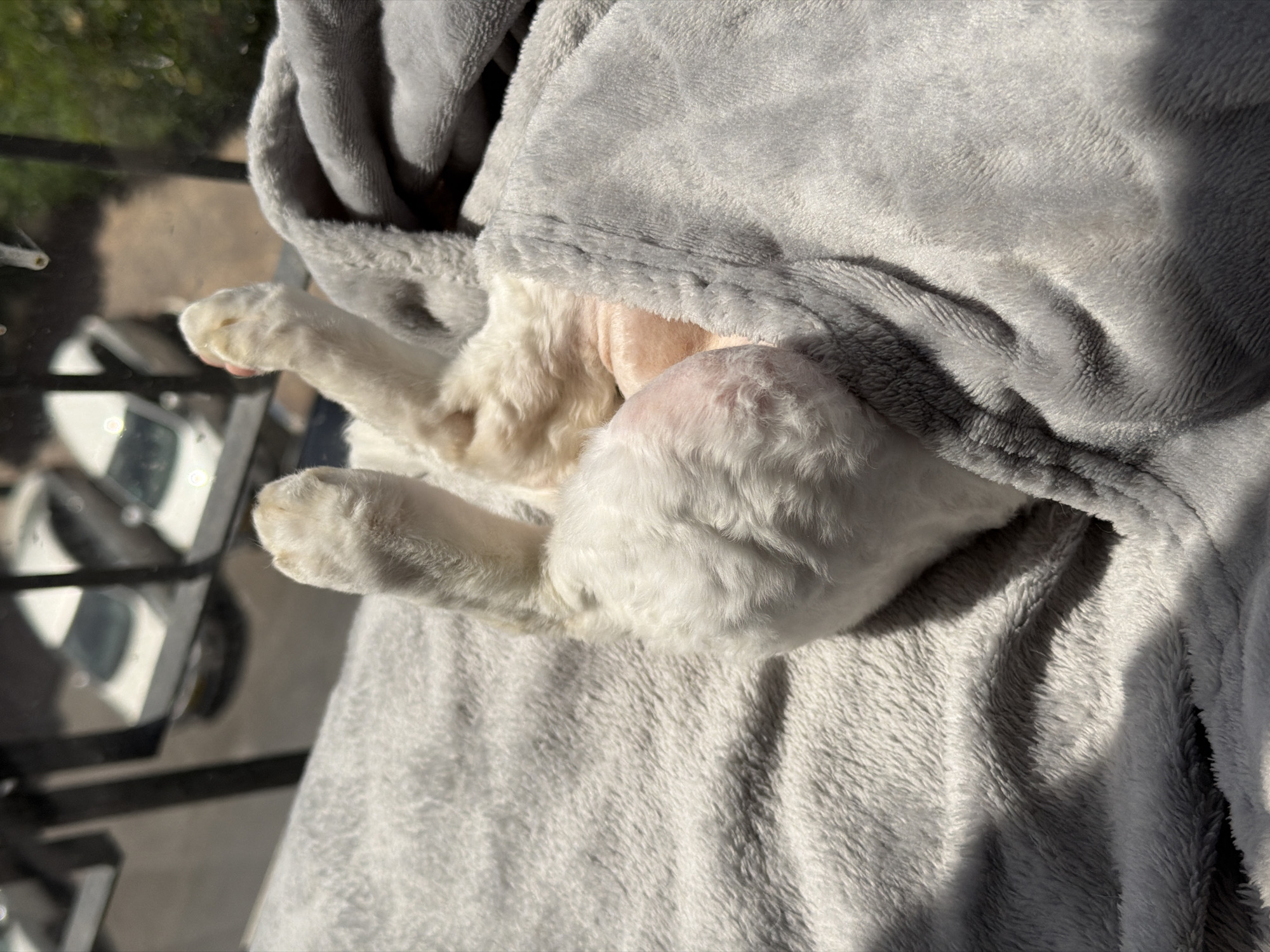 Everyday street life documented across Ramat Gan in three minutes