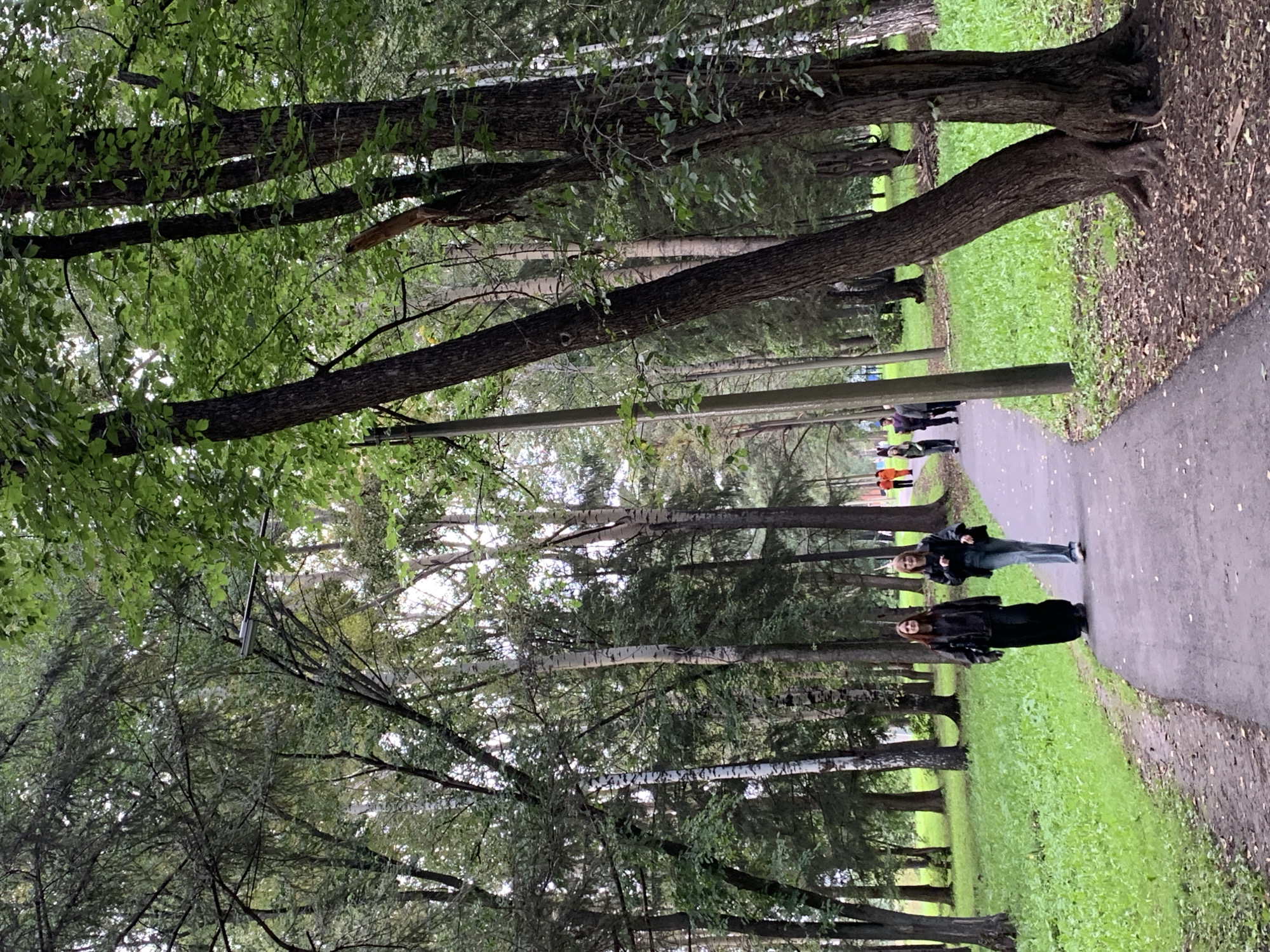 Prokopyevsk city park buzzing with activity on a summer afternoon