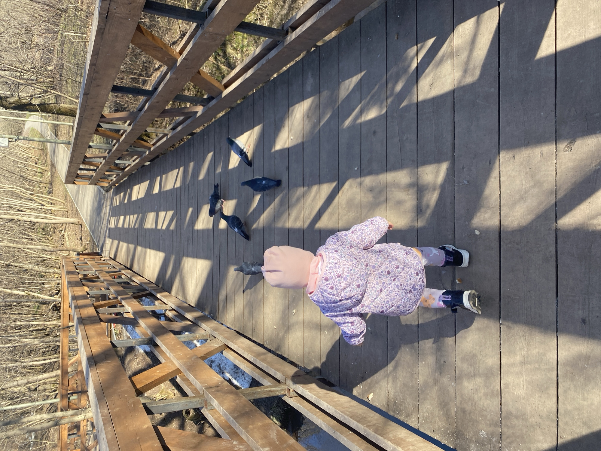 Child feeds pigeons on wooden bridge in Perm