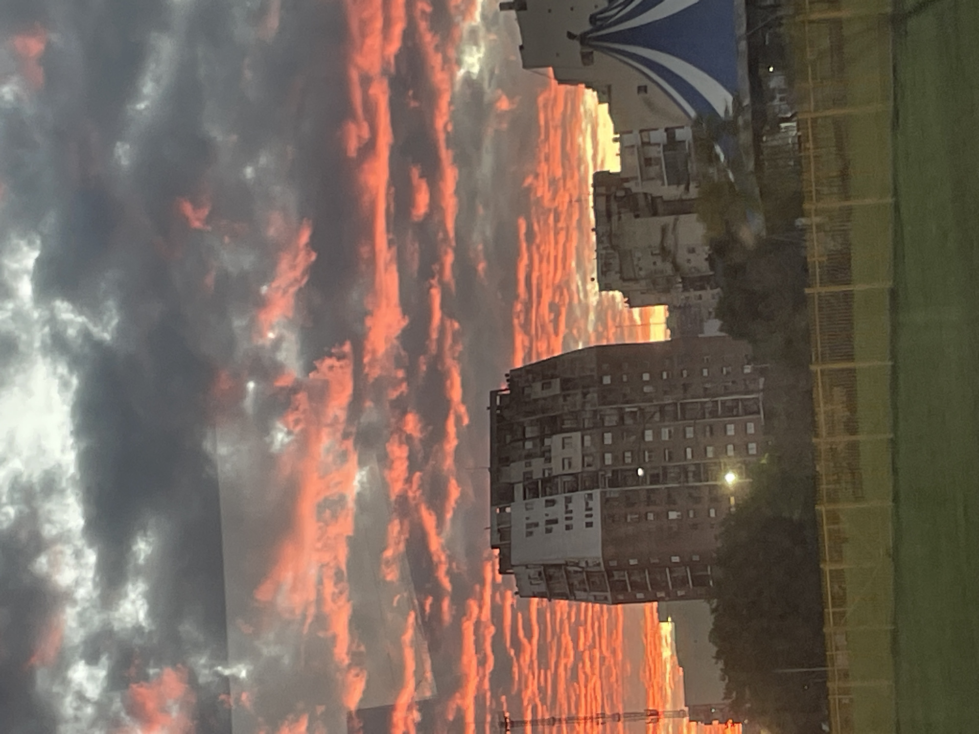 Dramatic red sunset observed over Buenos Aires parkland