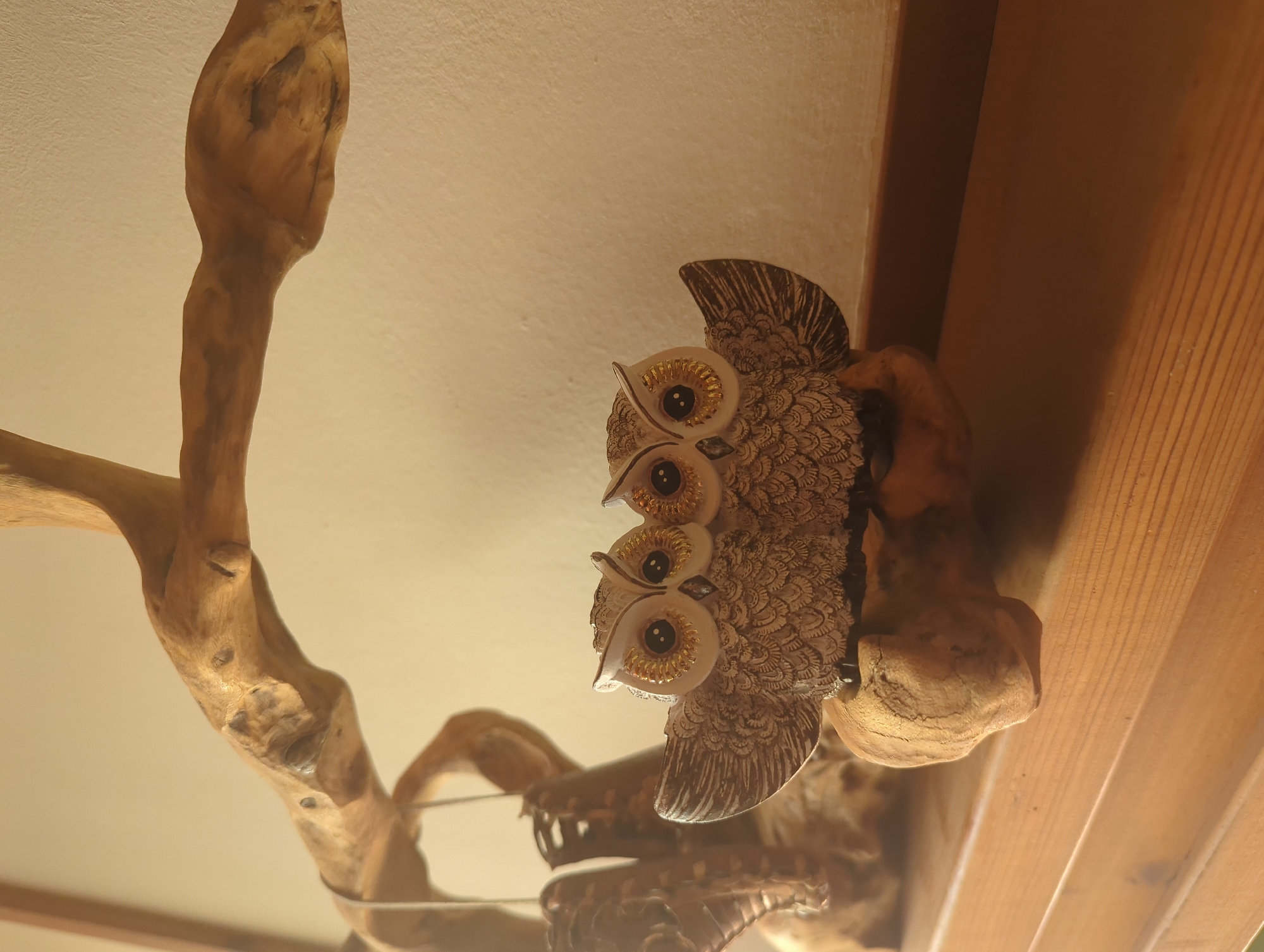 Morning domestic scenes documented in Septemvri home