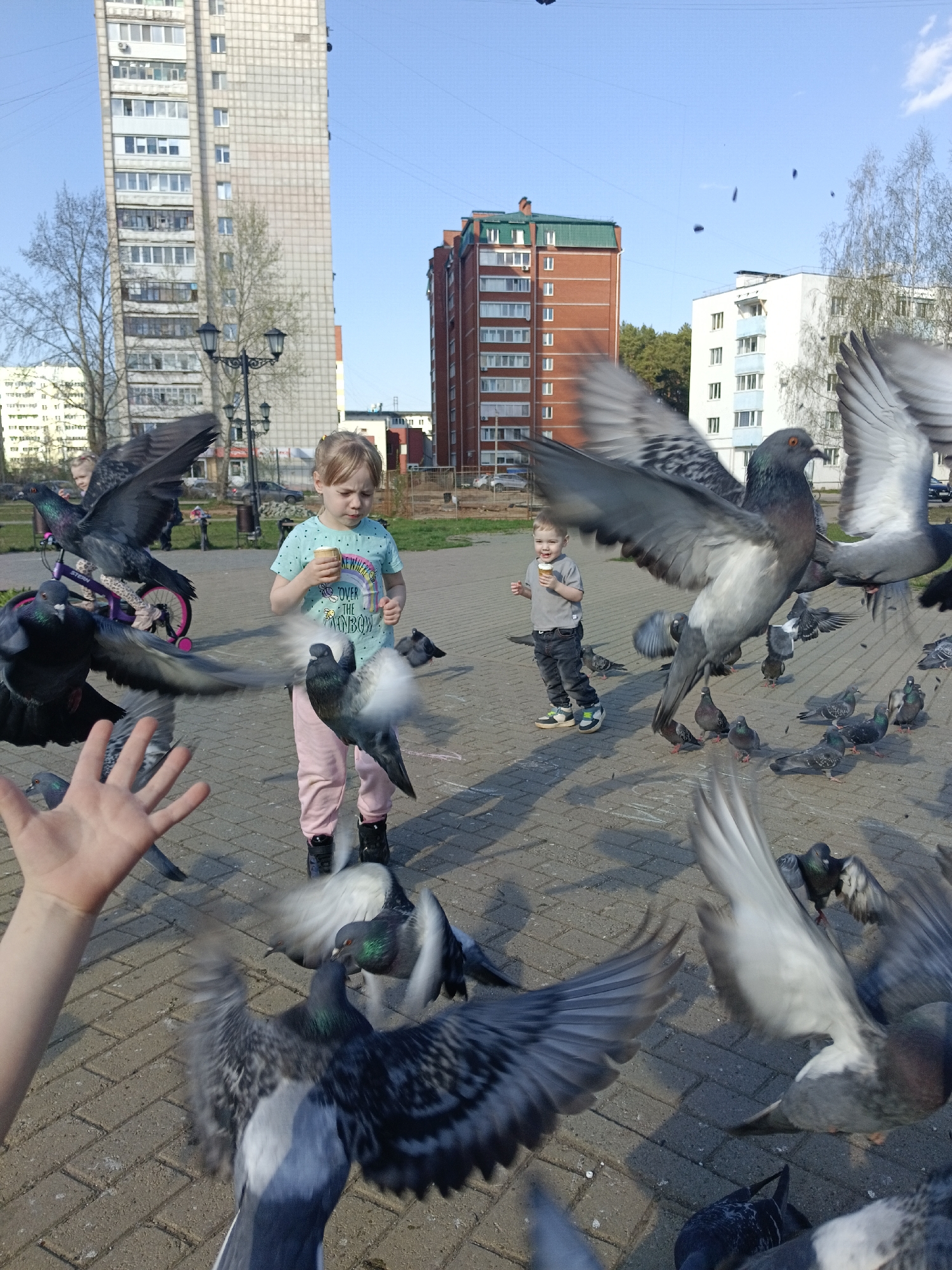 Families feed pigeons in Chaikovsky square during afternoon outing