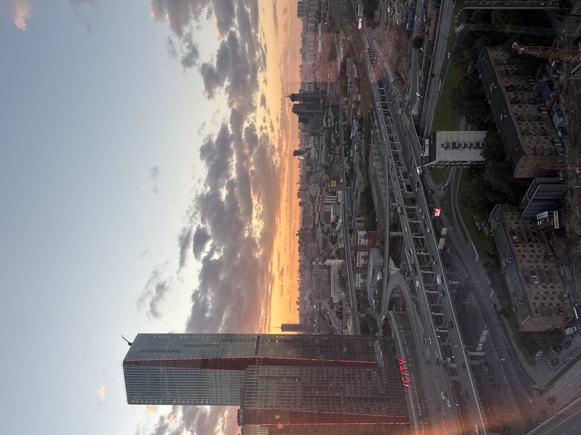 Sunset skyline and a resting dog in Khimki