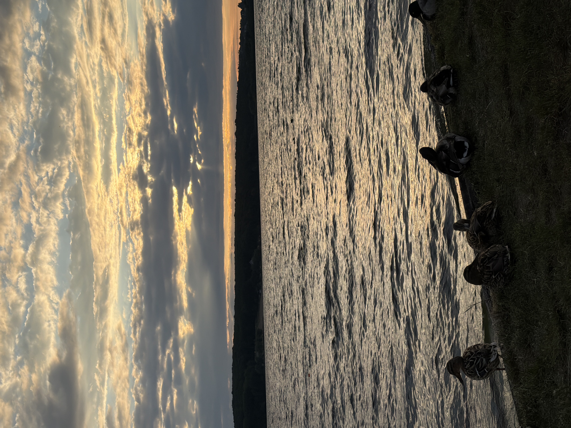 Sunset gatherings documented along Ternopil Lake waterfront in Ukraine