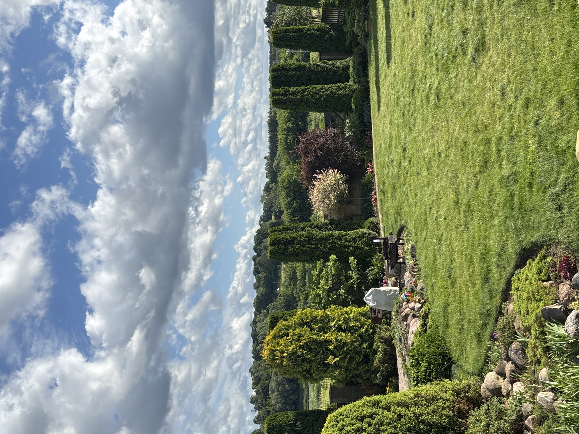 Garden views and marker drawings from a Daugavpils afternoon