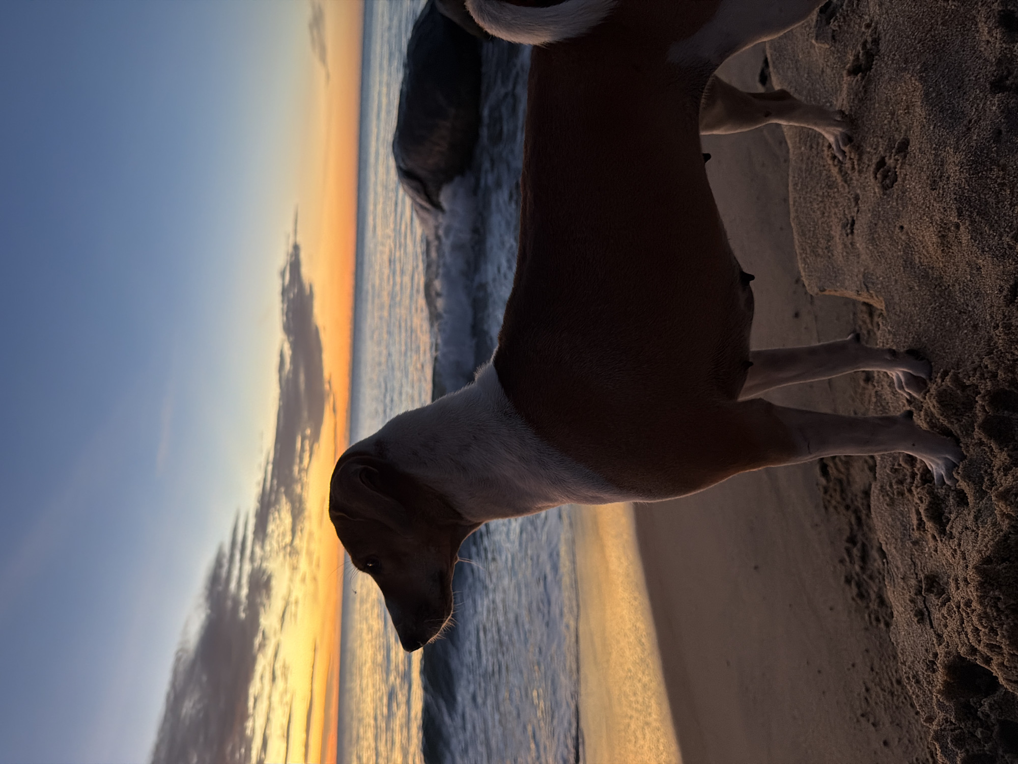 Peaceful sunset moments captured at Arugam Bay beach