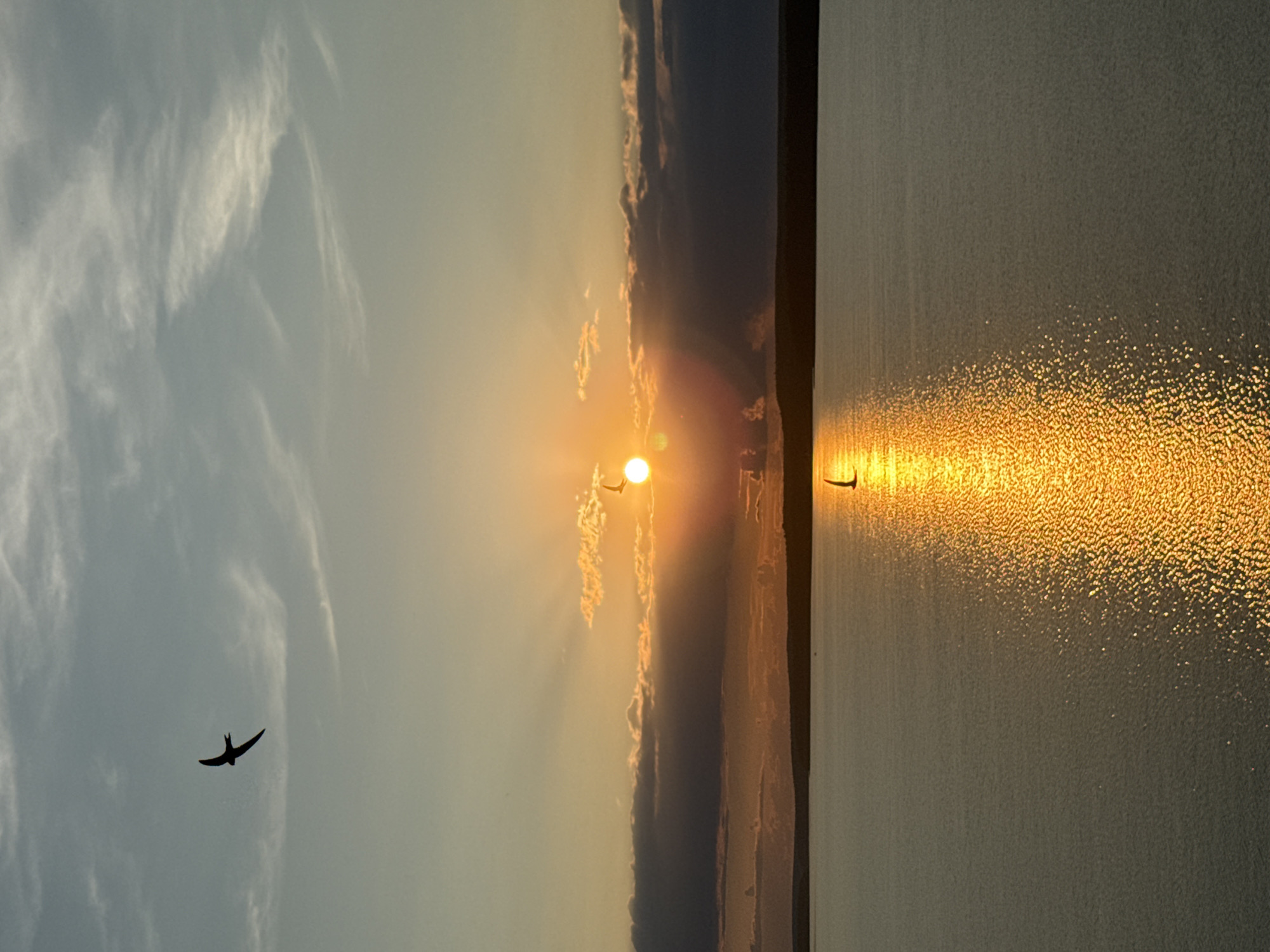 Golden hour to dusk along the Votkinsk Reservoir waterfront