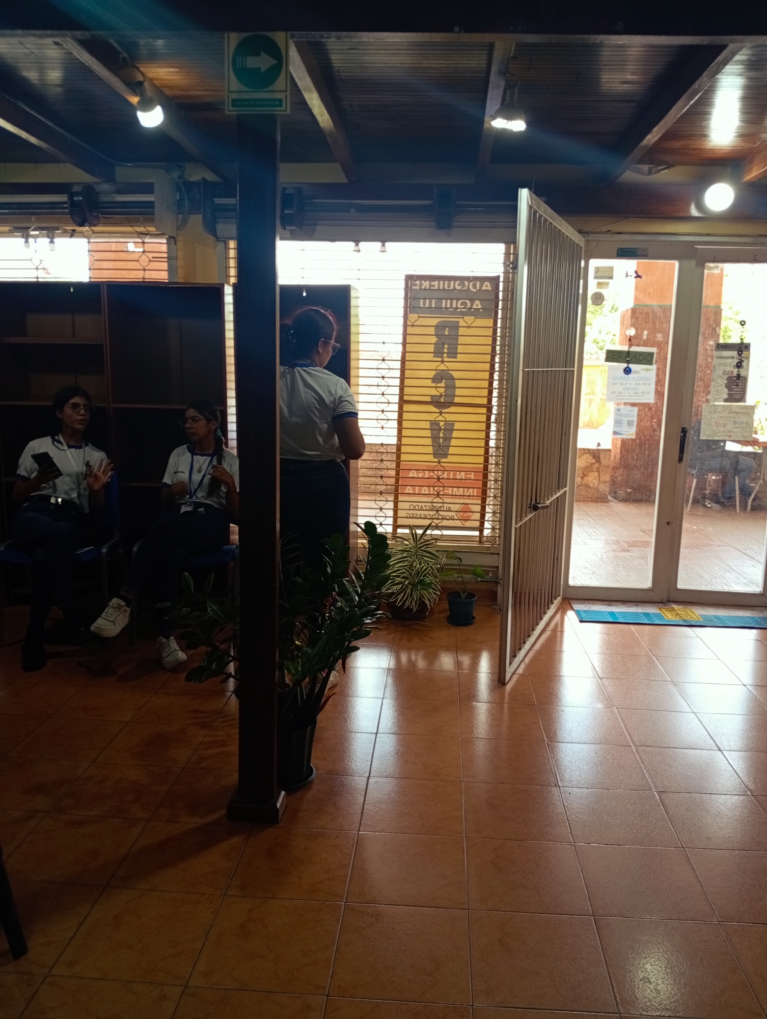Afternoon around Juan Griego: streets, a shop, and a very relaxed cat