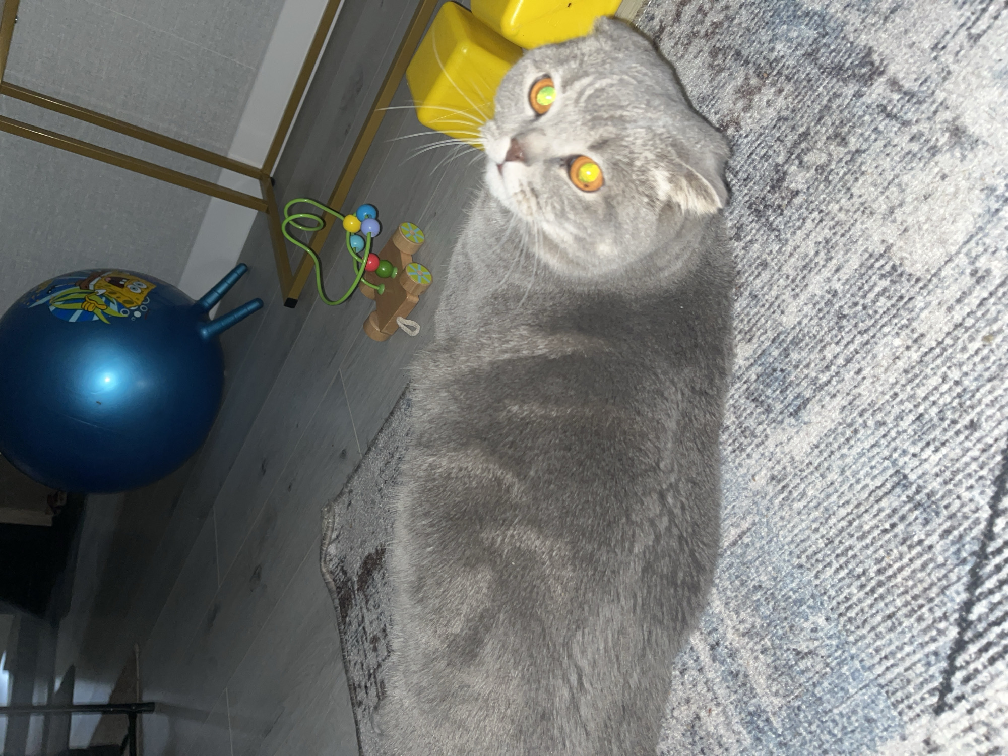 Woman documents nighttime routine with cat in Chaikovsky, Russia