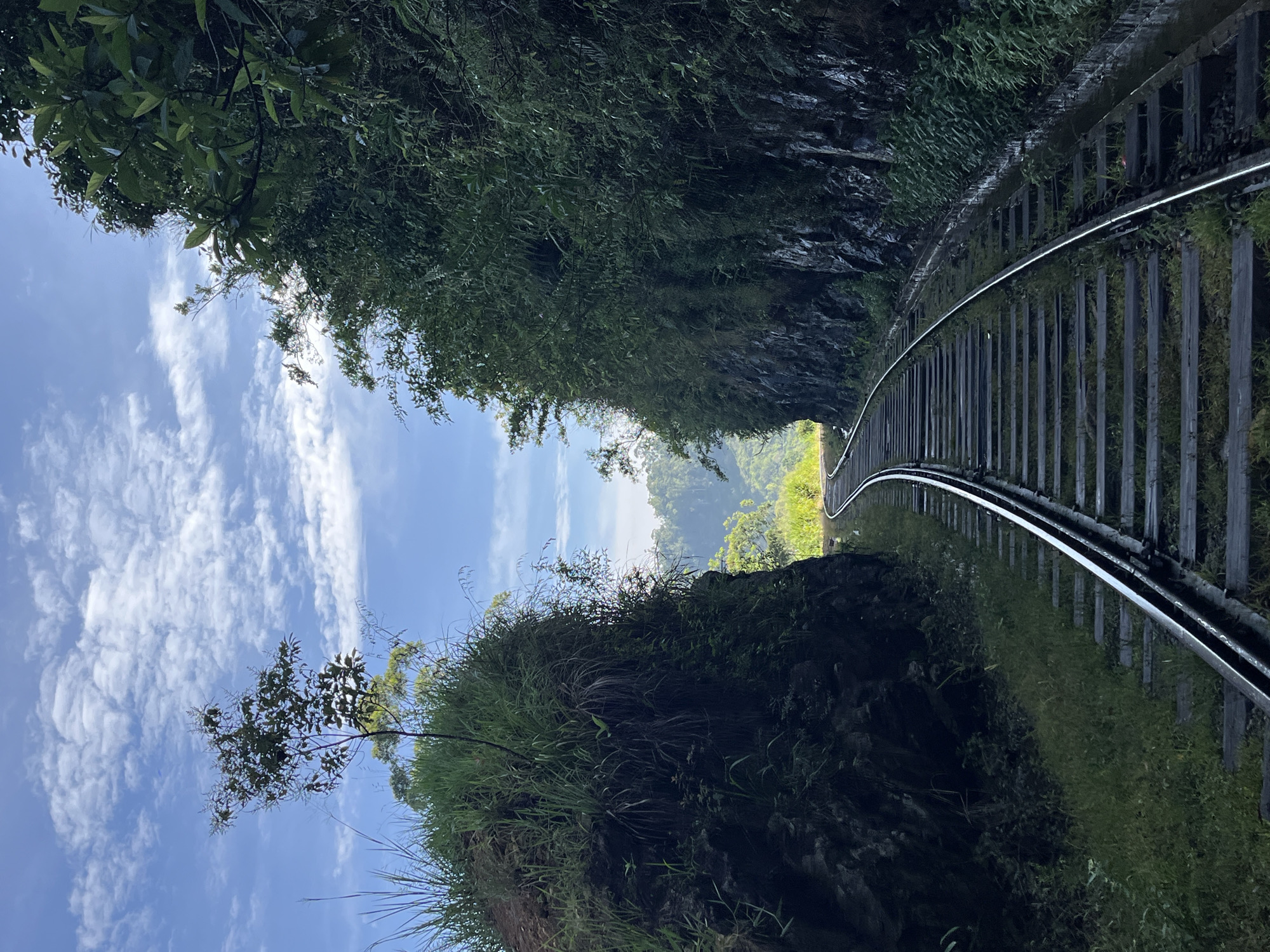 Railway track winds through verdant cliffside landscape near Ella