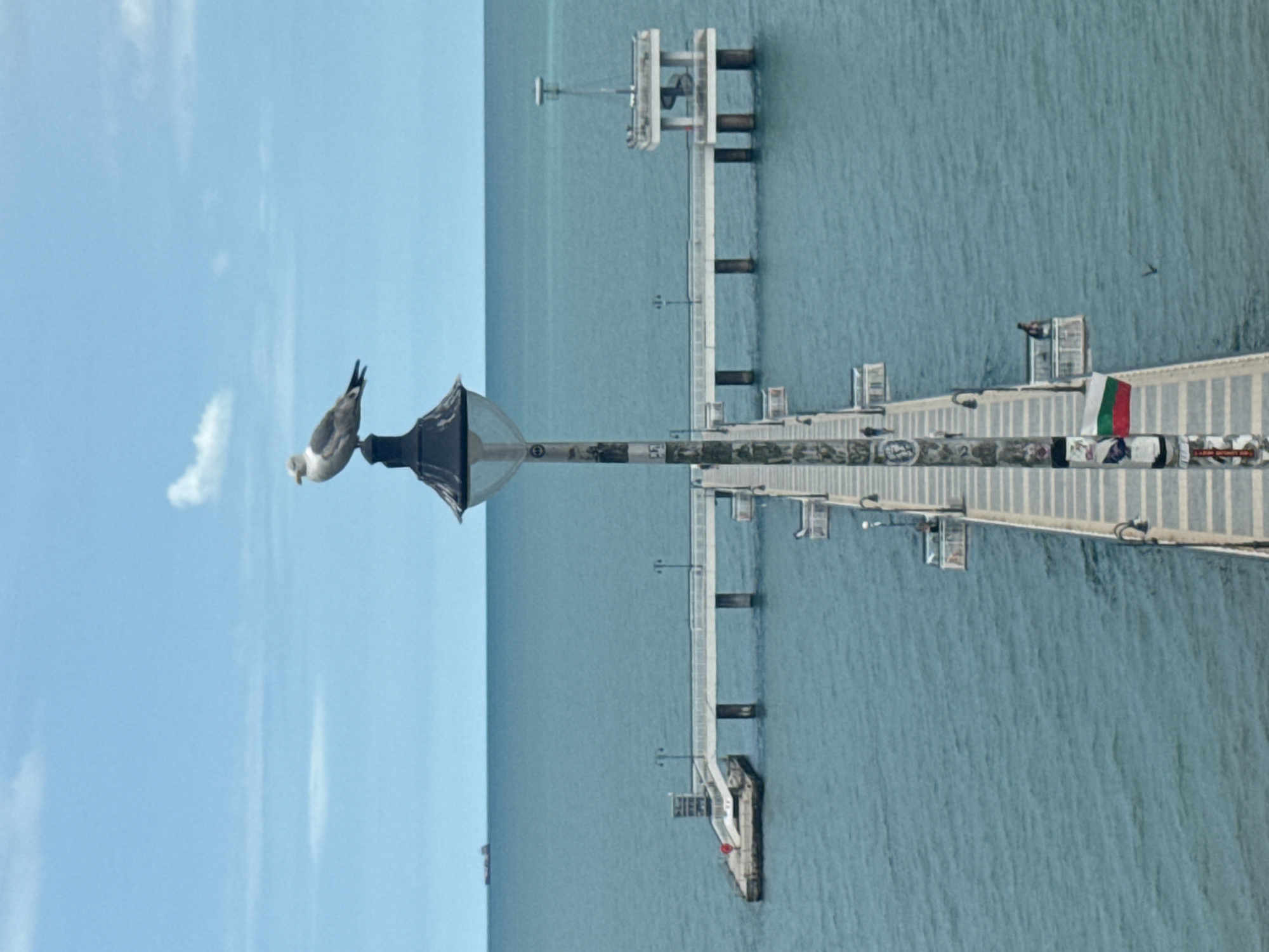 Overcast day documented at Burgas Sea Garden waterfront