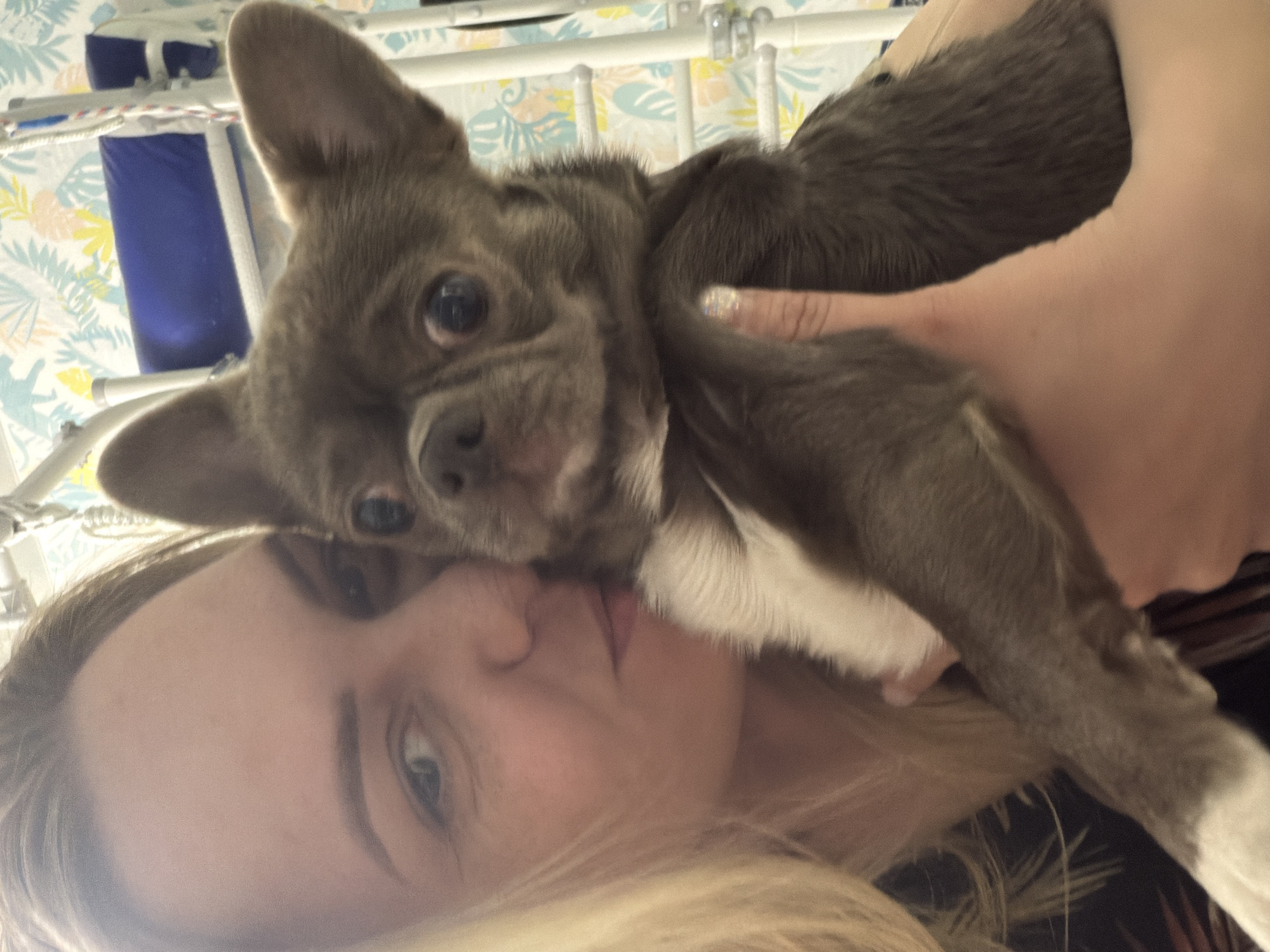 Woman poses with puppies in bedroom in Votkinsk
