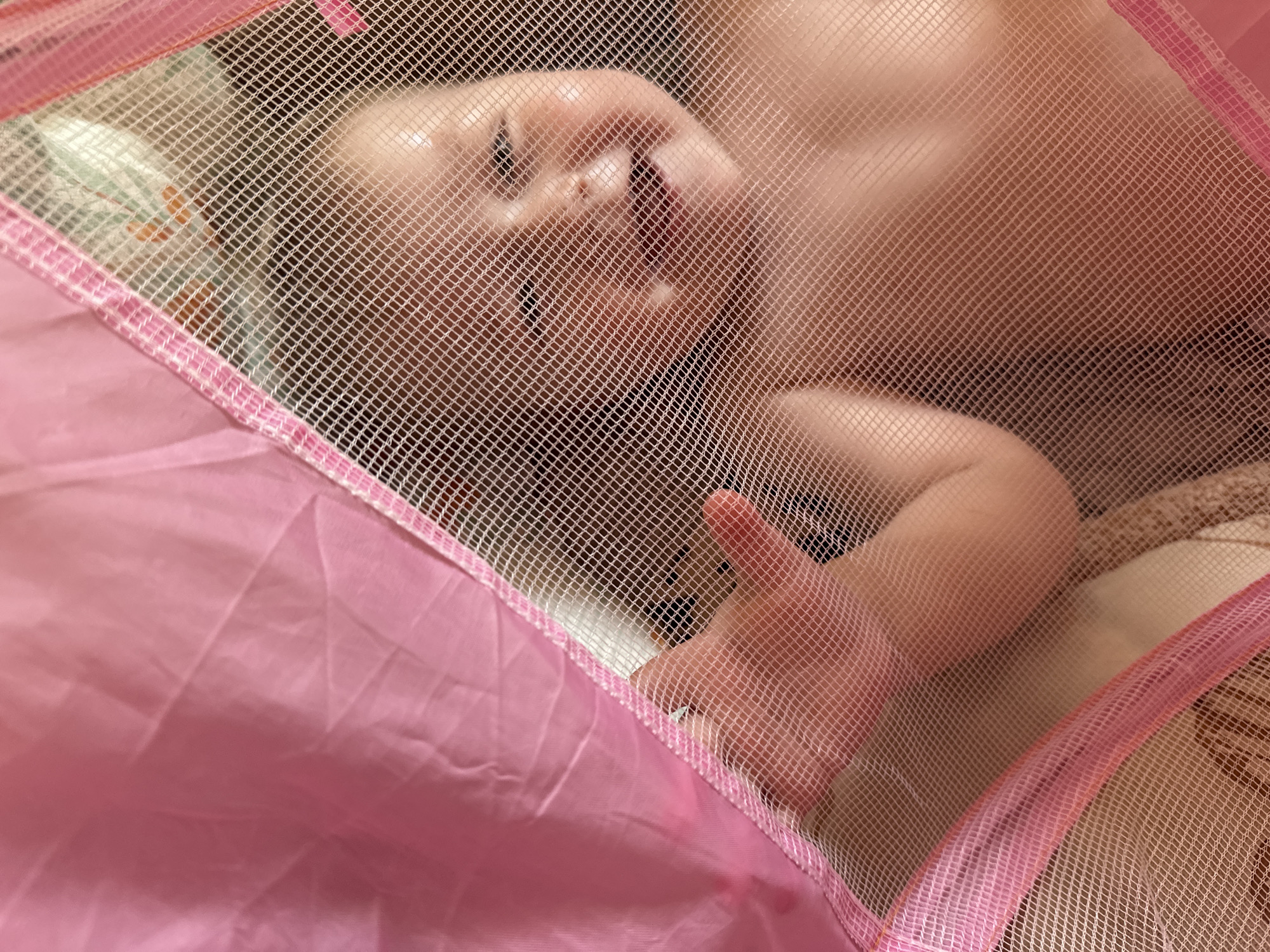 Weekend family moments: baby playtime and dandelion collecting in Russia
