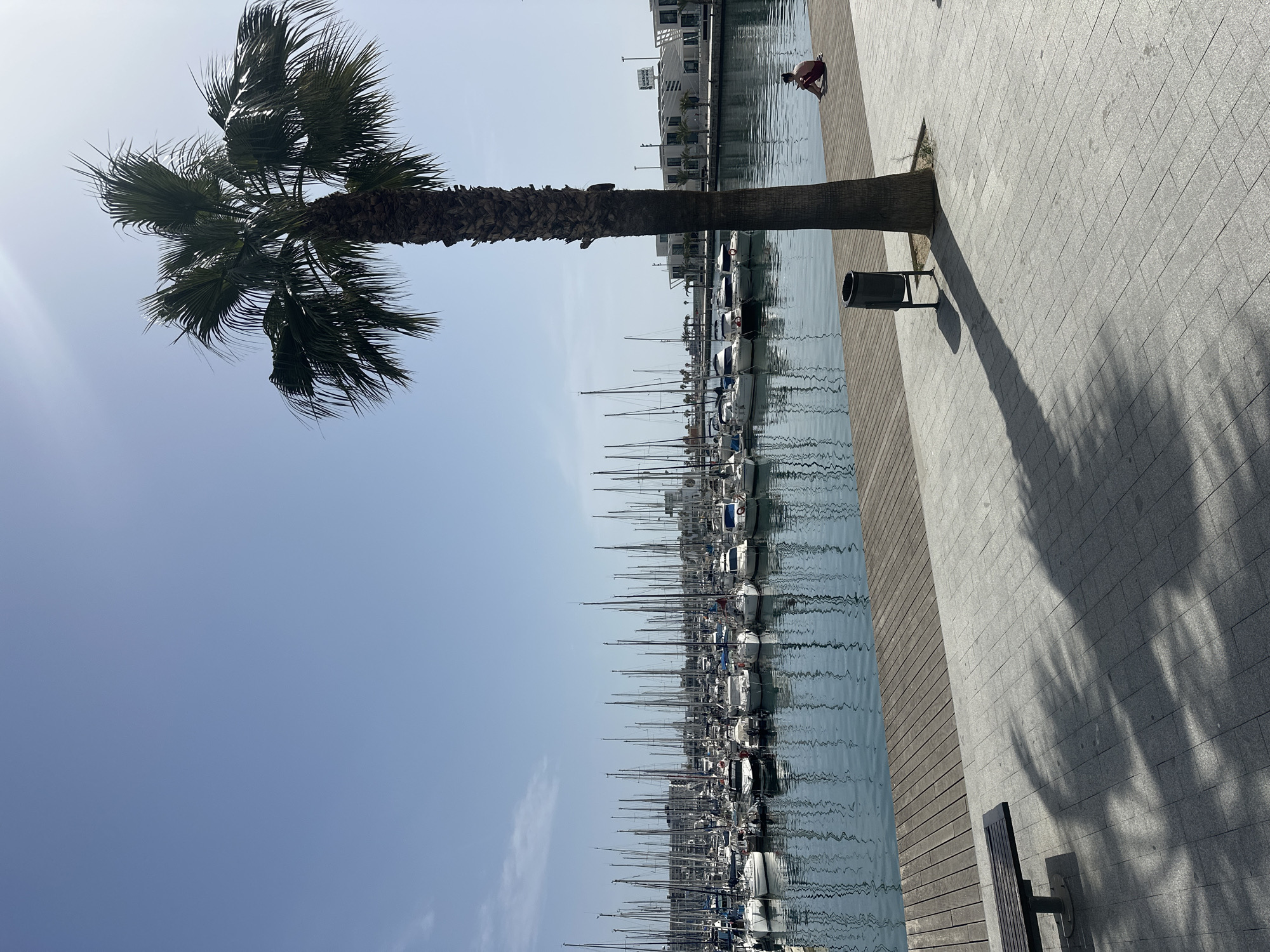 Morning moments captured at Alicante marina waterfront