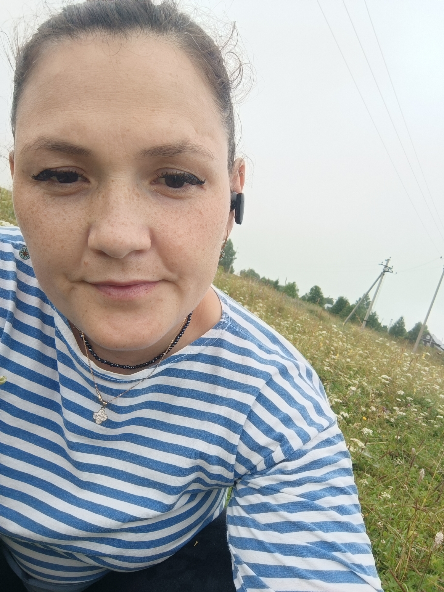 Foggy summer morning in a Karsha field with cattle and wildflowers