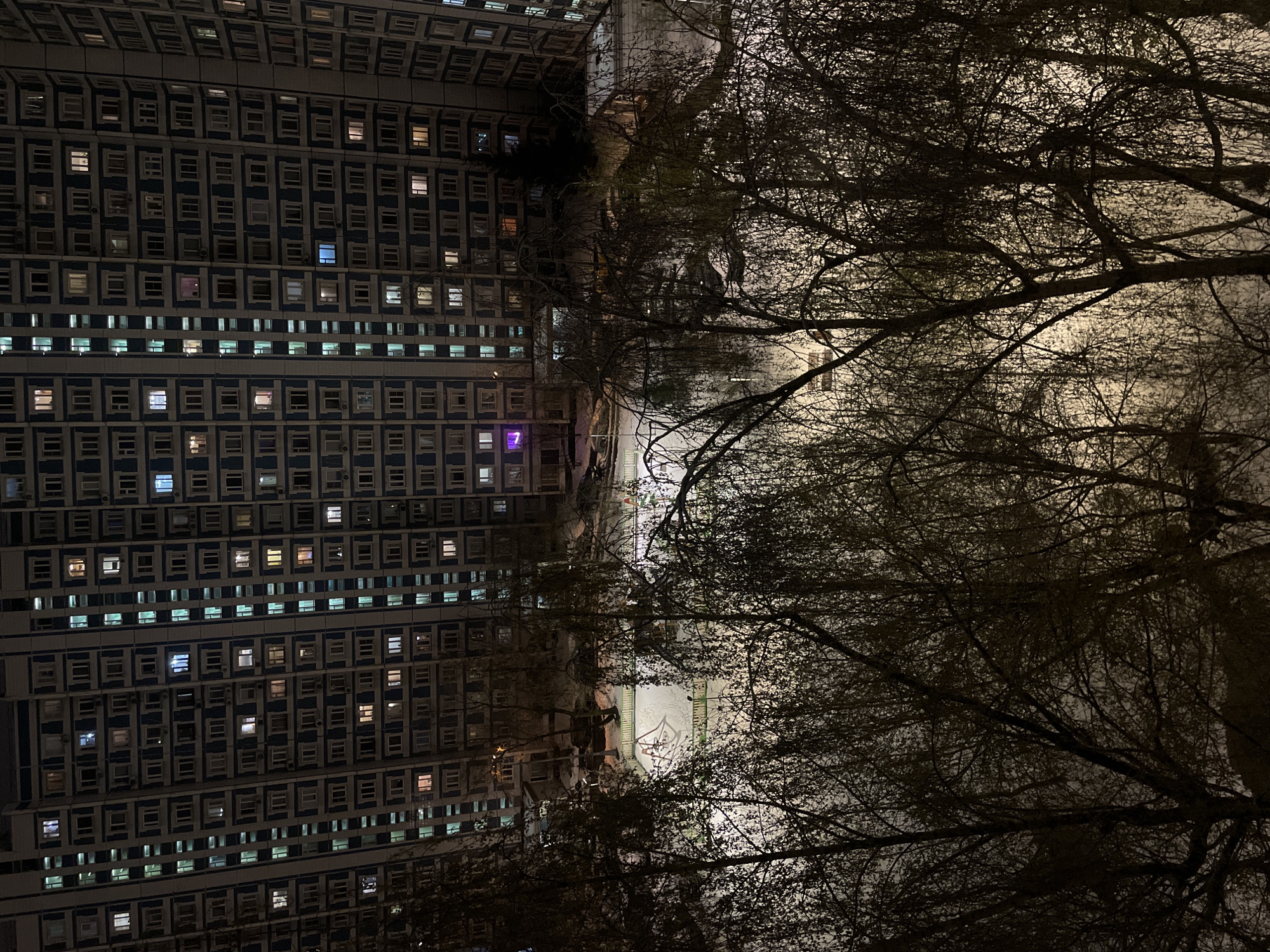 Moscow nighttime scene shows building contrasting with bare trees