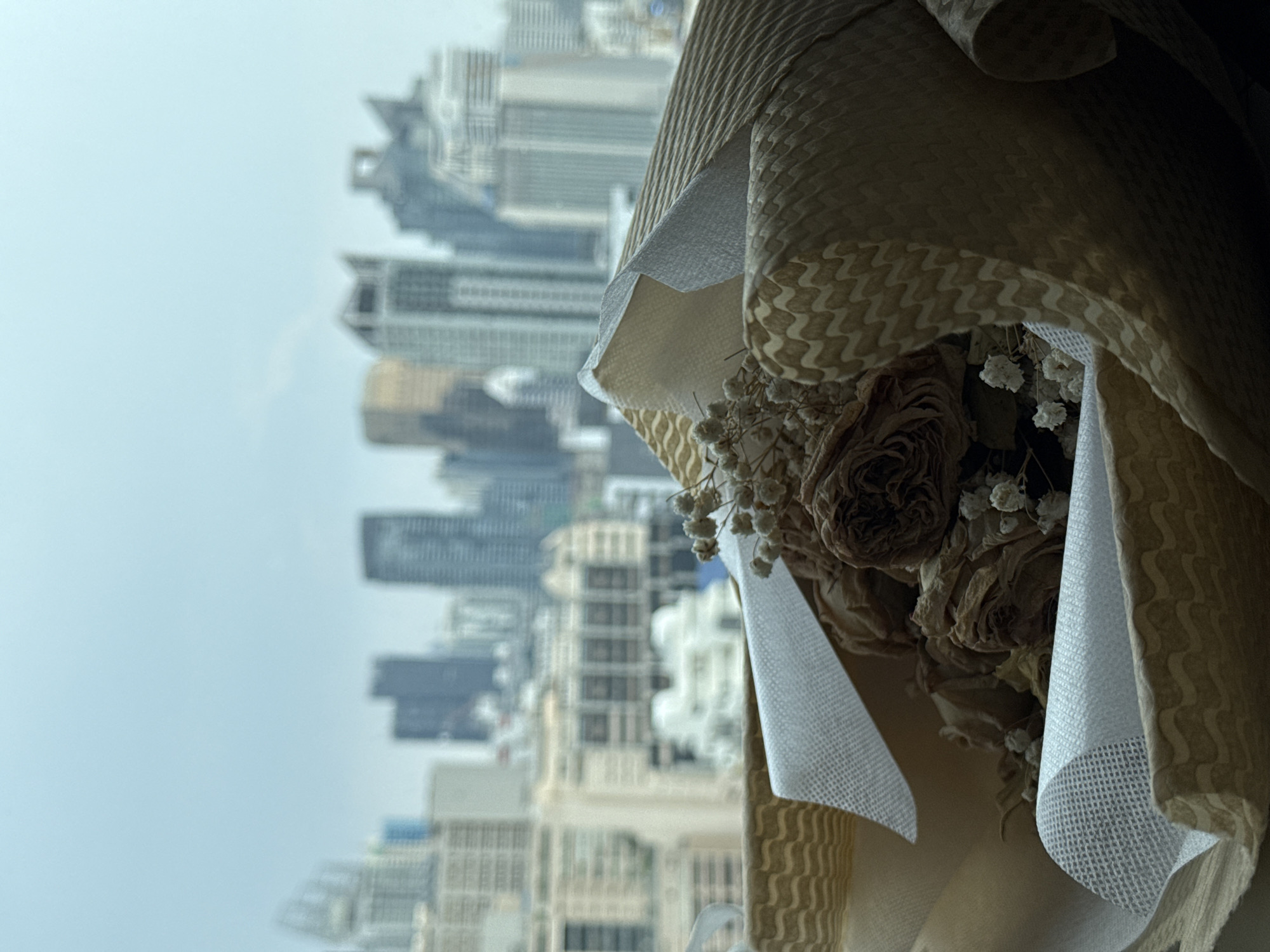 Bangkok resident documents home interior and city views