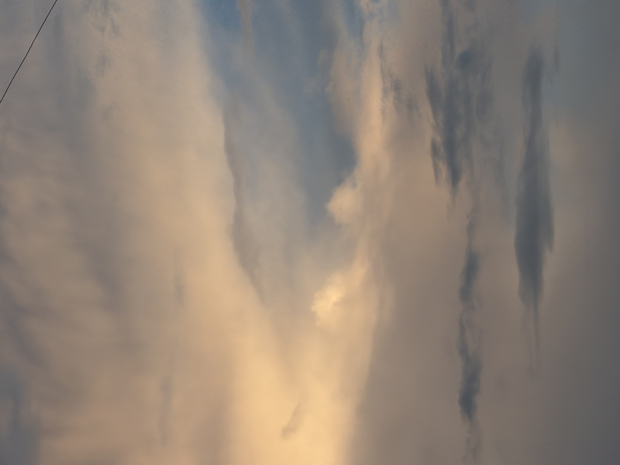Khimki evening: moody skies, pets, and industrial skyline