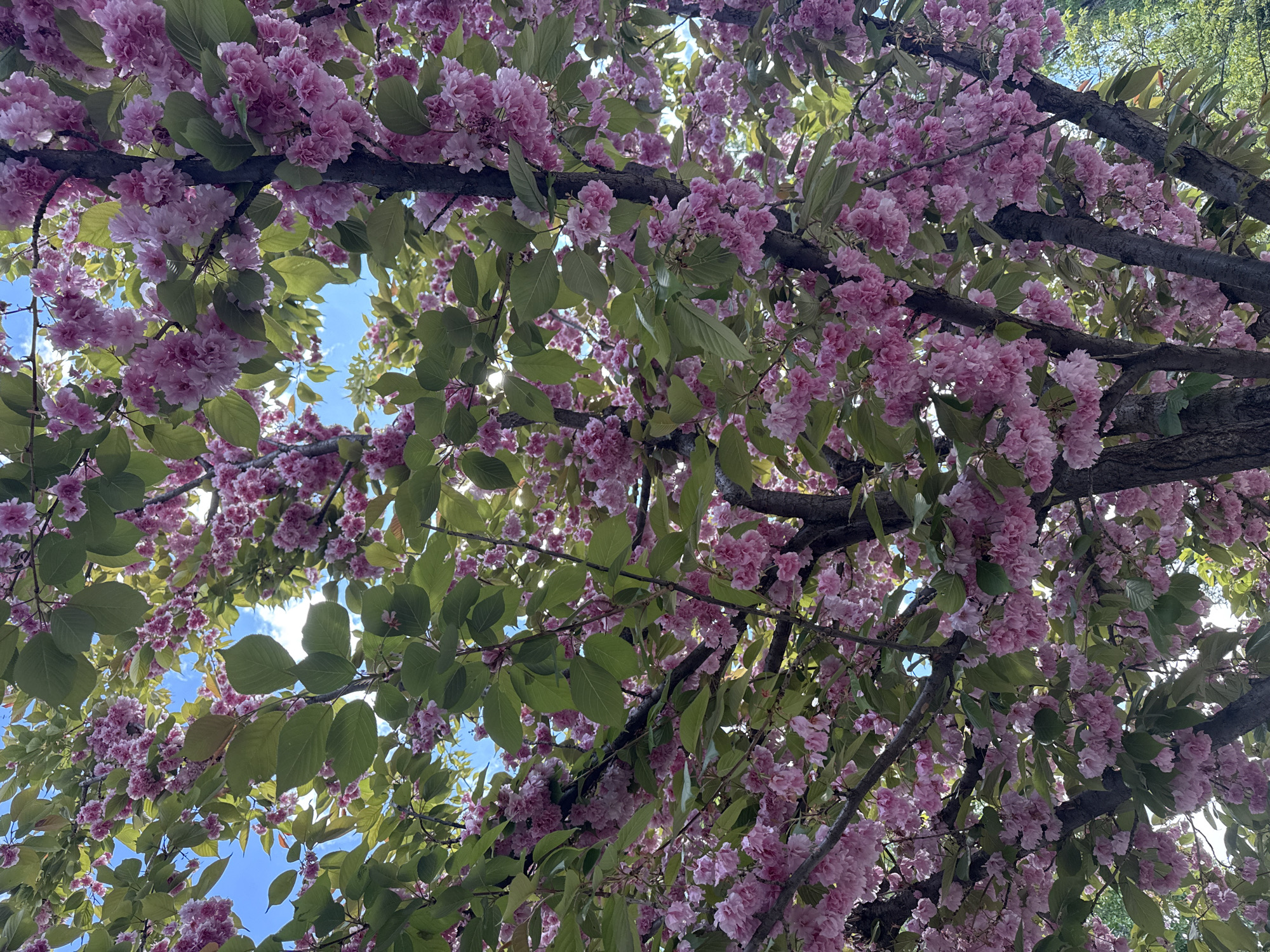 Spring morning moments captured across Sofia, Bulgaria