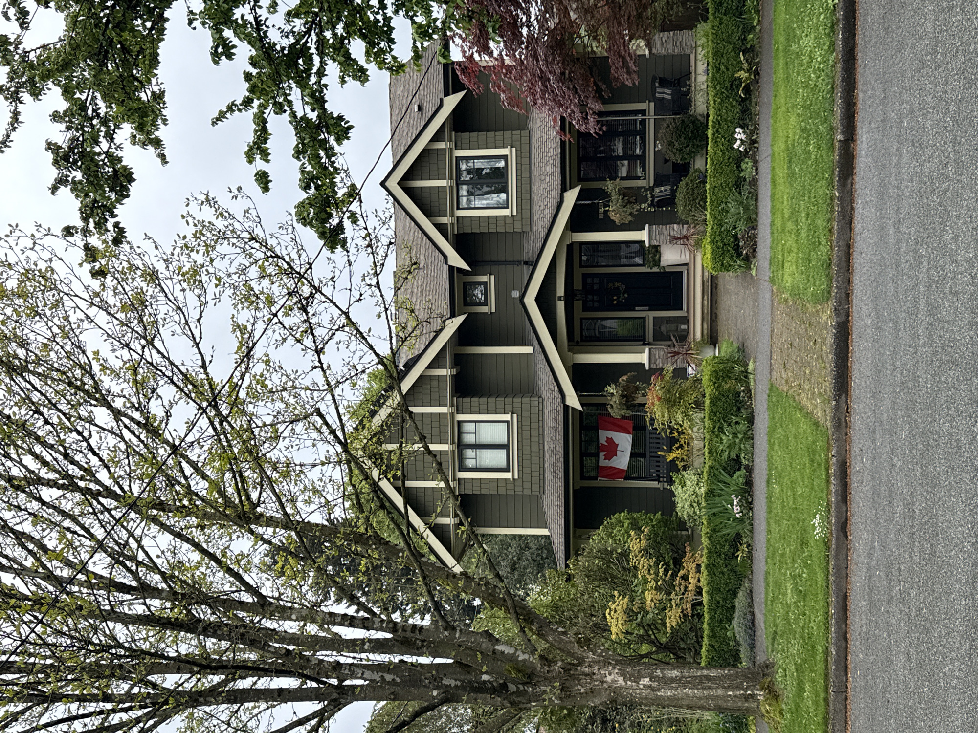 Quiet residential street documented in New Westminster