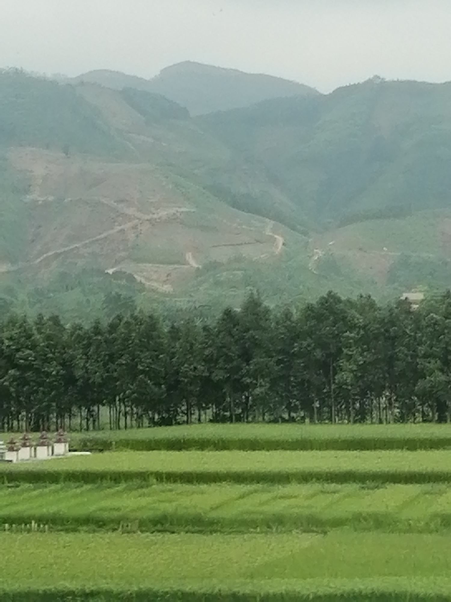 Peaceful rural landscape observed under hazy skies in Chau Que