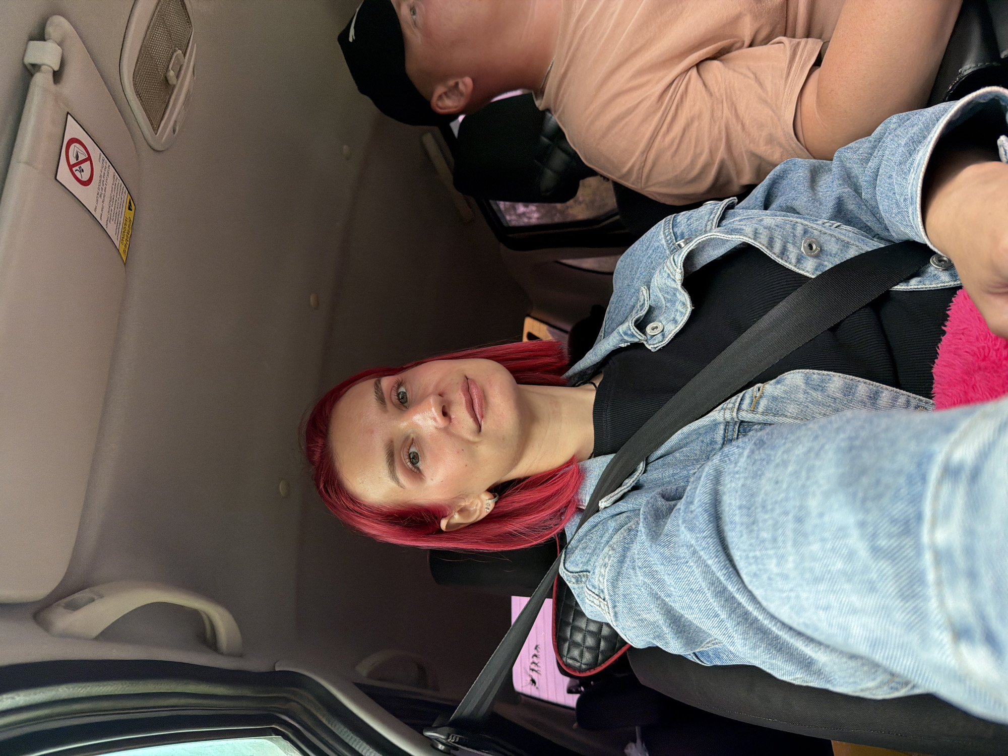 Car selfie captured in Забегалово, Russia