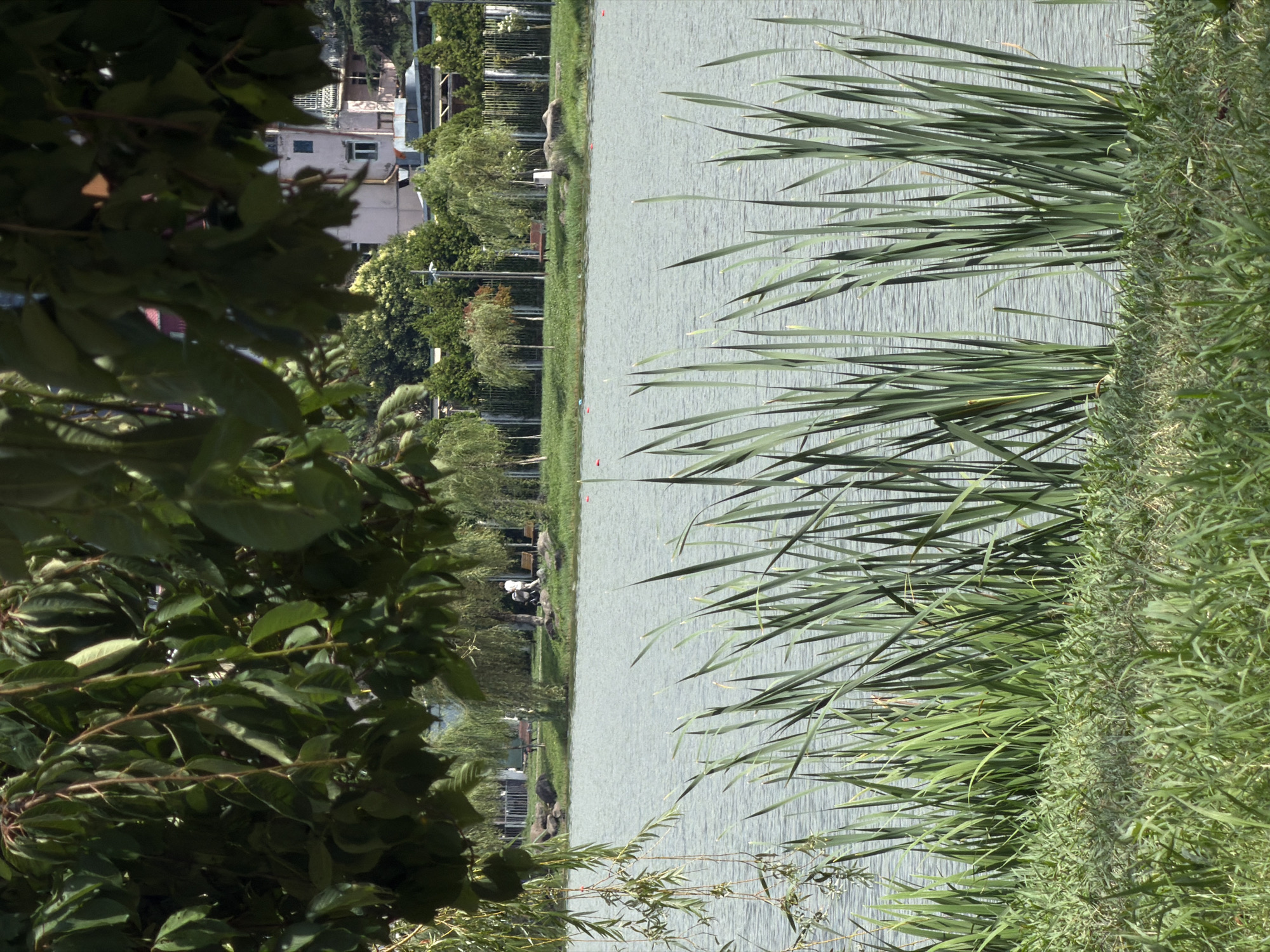 Batumi's bold architecture and waterfront on a summer morning