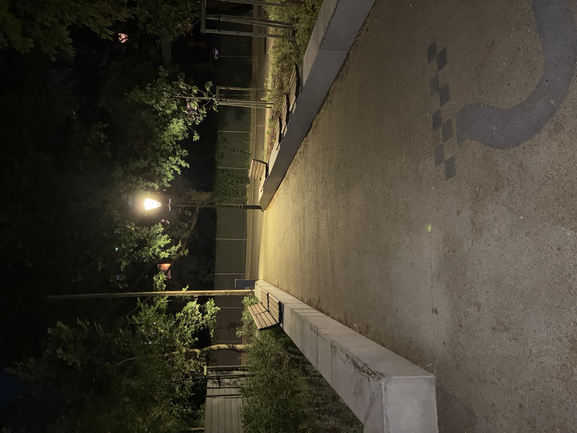 Evening stroll through a Warsaw park, flowers and all