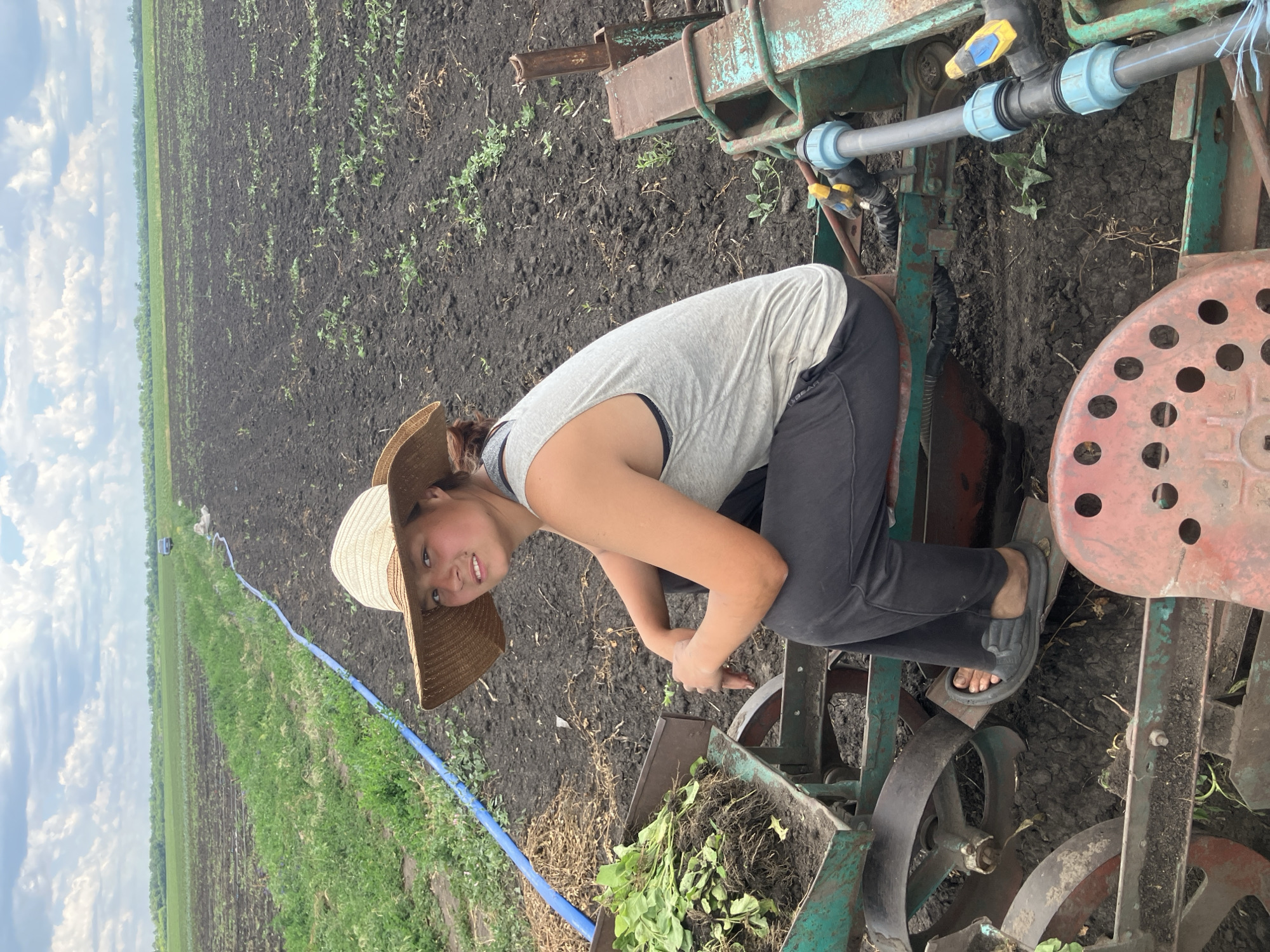 Spring planting season underway in Ukrainian agricultural fields