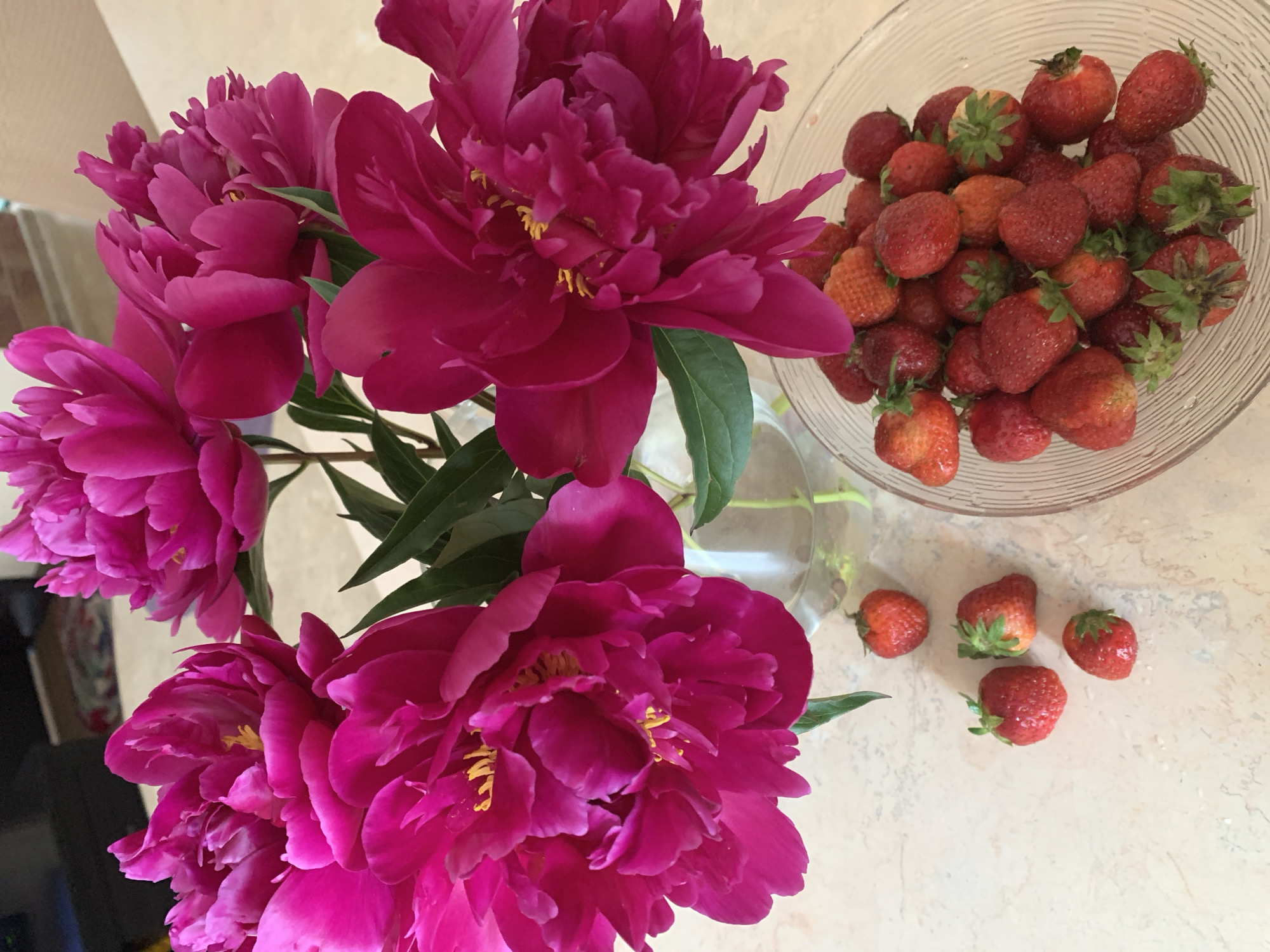 Morning domestic scenes documented in Ivanava, Belarus household