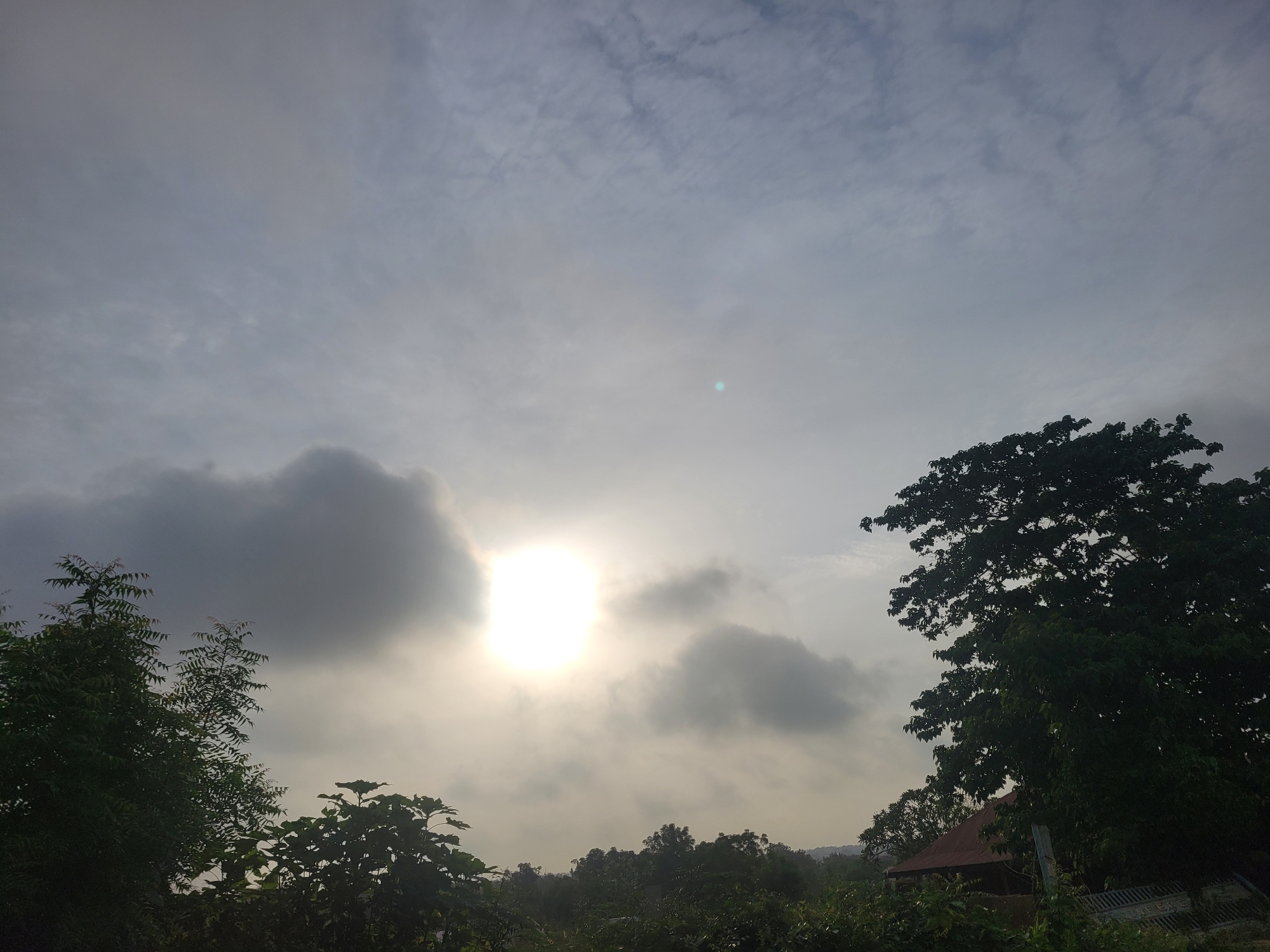 Morning snapshots: overcast skies, greenery, a dirt path, and a quote